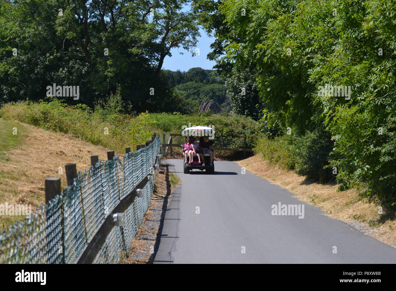 Golf buggy ride Foto Stock