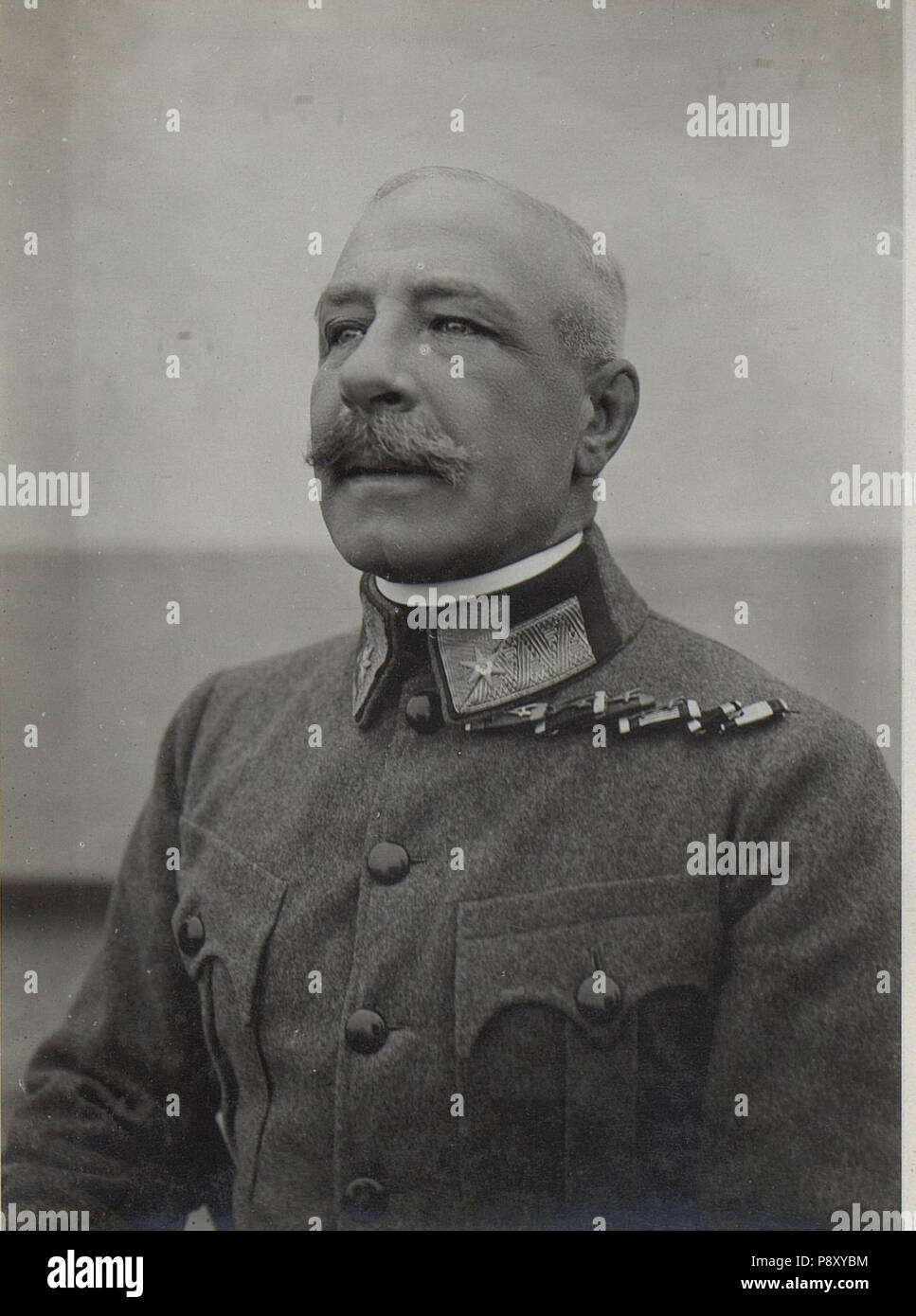 312 Gmjr.Löw (BildID 15666077) Foto Stock