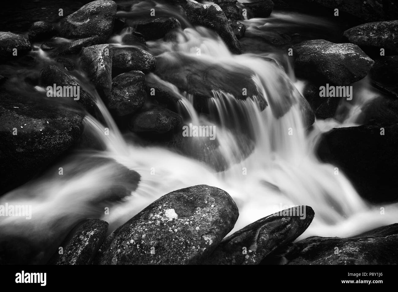Un fluire lungo la cascata di esposizione lungo Porter Creek Trail nel Great Smoky Mountain National Park in bianco e nero. Foto Stock