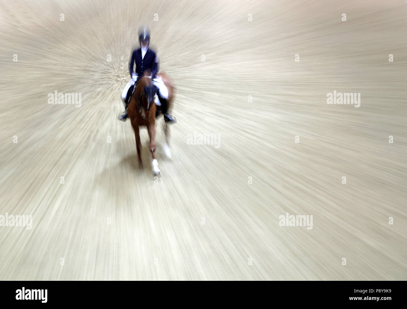Berlino, dynamics, dressage rider e il cavallo in traversale Foto Stock