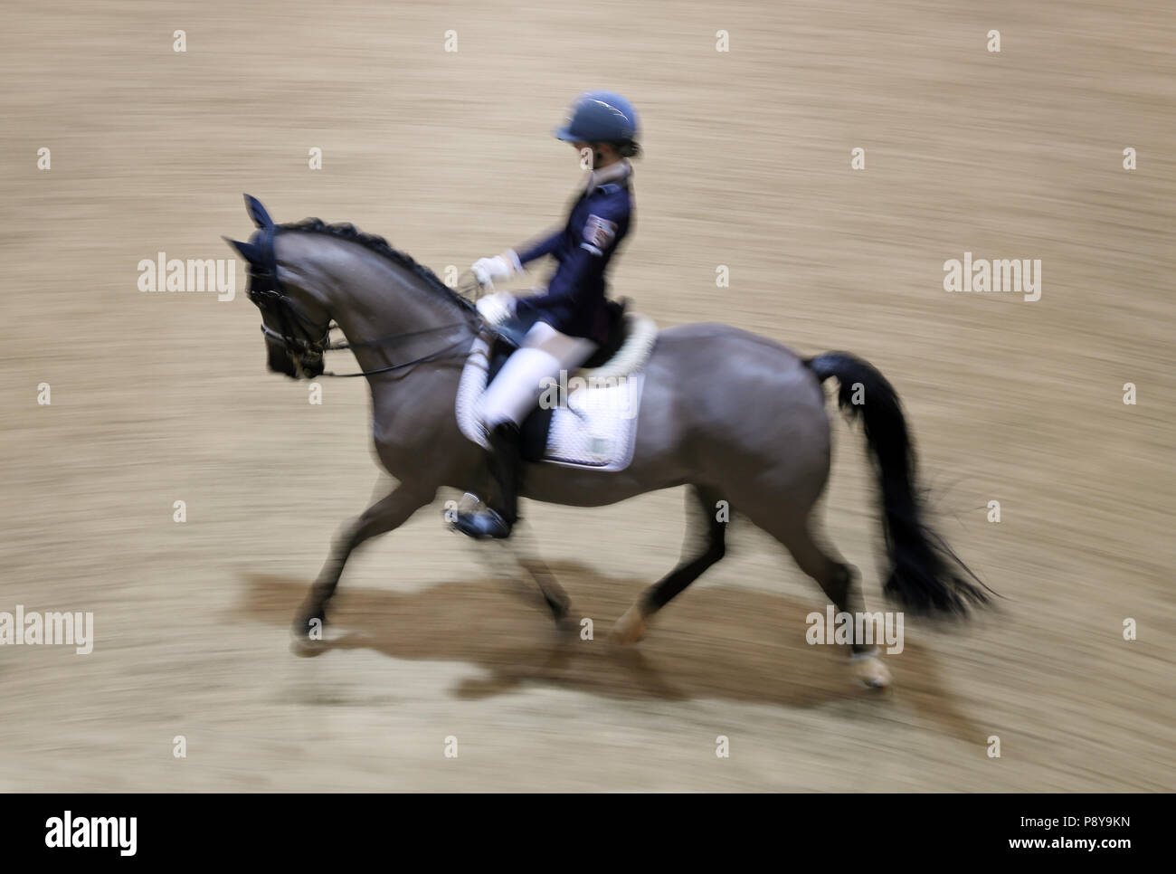 Berlino, dynamics, dressage rider e cavallo trotto Foto Stock
