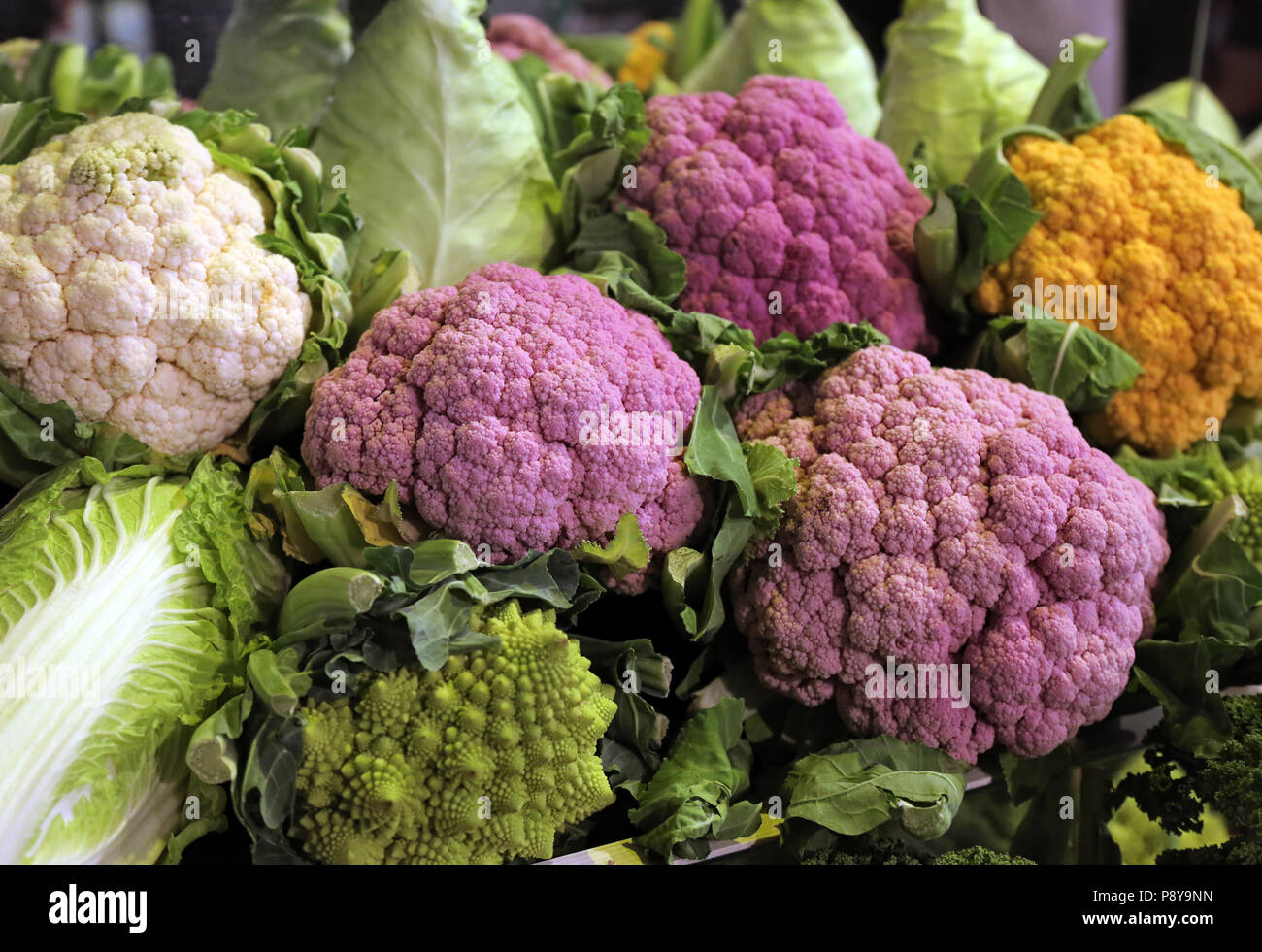 Berlino, Germania, mixed-cavolfiori di colore Foto Stock