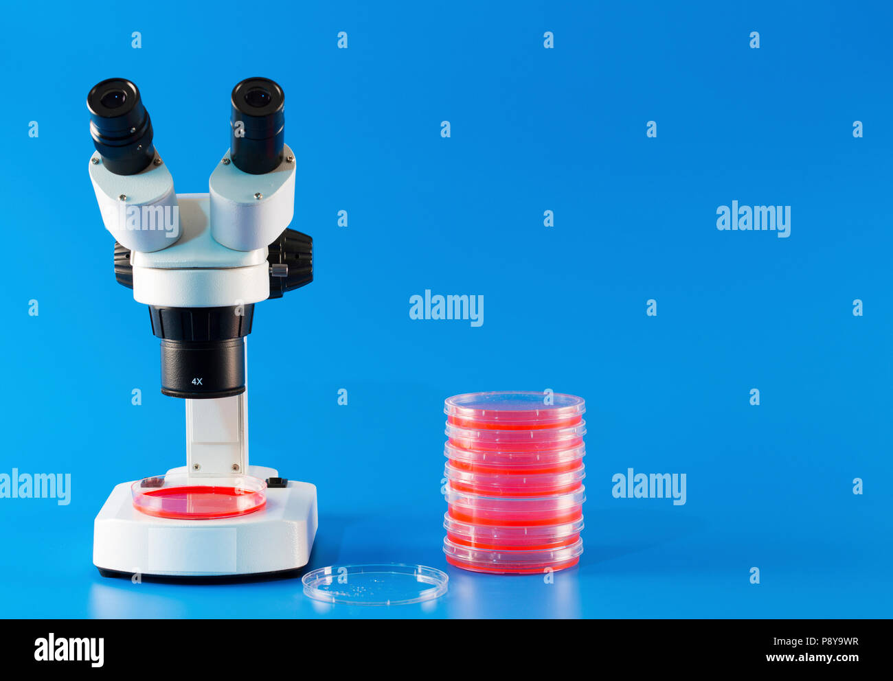 Ricerca di microbiologia. Foto Stock
