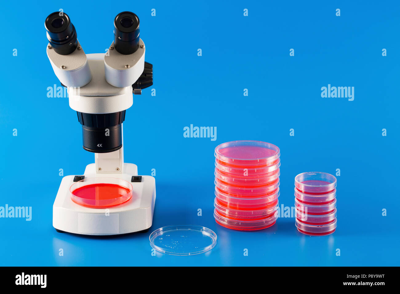 Ricerca di microbiologia. Foto Stock
