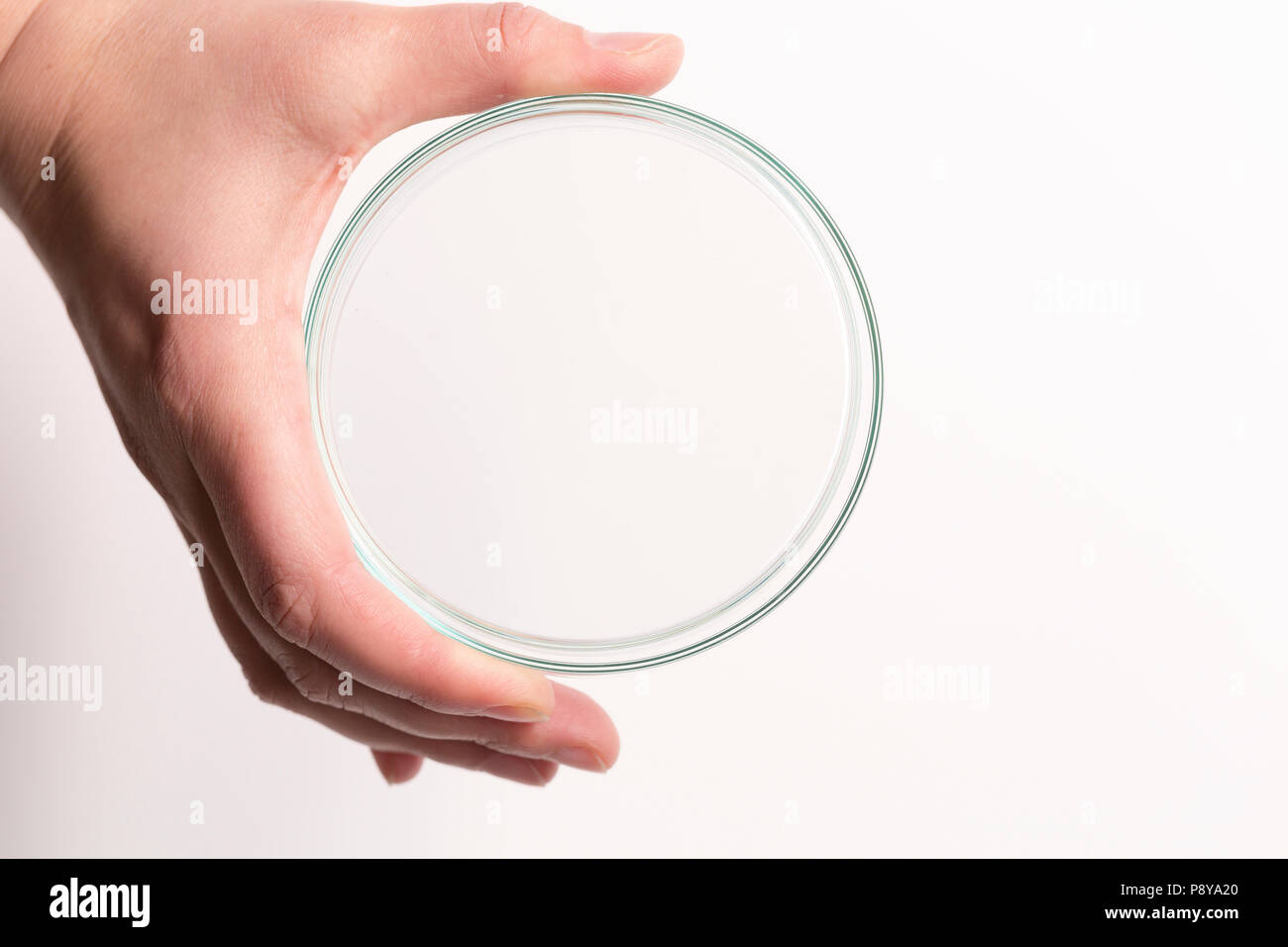 Vuoto piastra petri tenuto in una mano. Foto Stock
