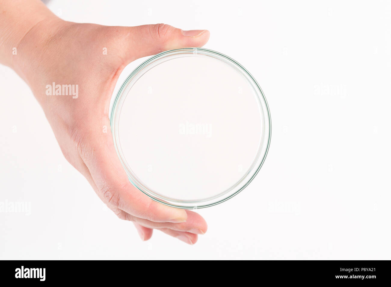Vuoto piastra petri tenuto in una mano. Foto Stock