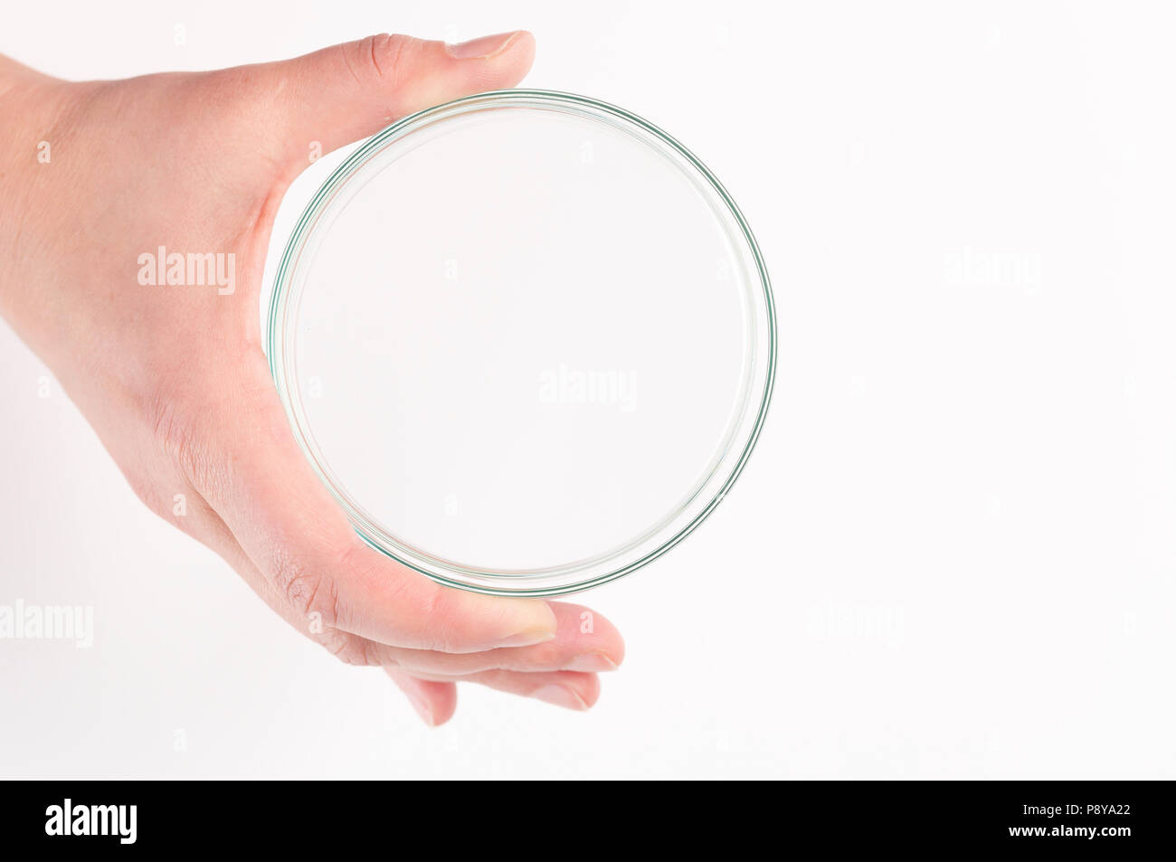Vuoto piastra petri tenuto in una mano. Foto Stock