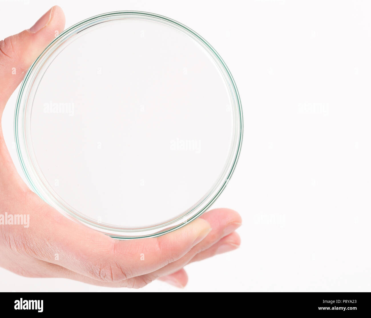 Vuoto piastra petri tenuto in una mano. Foto Stock