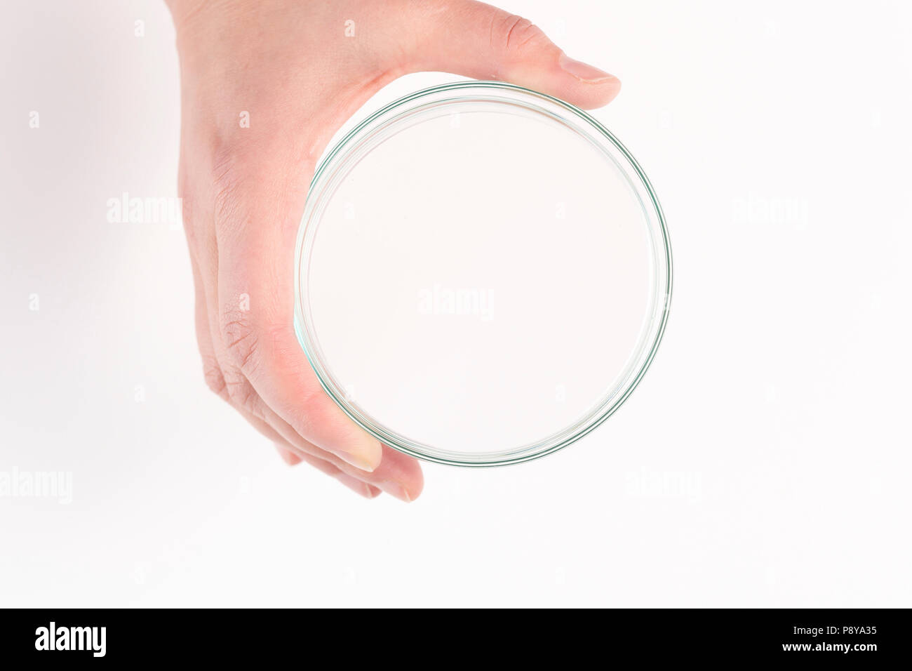 Vuoto piastra petri tenuto in una mano. Foto Stock