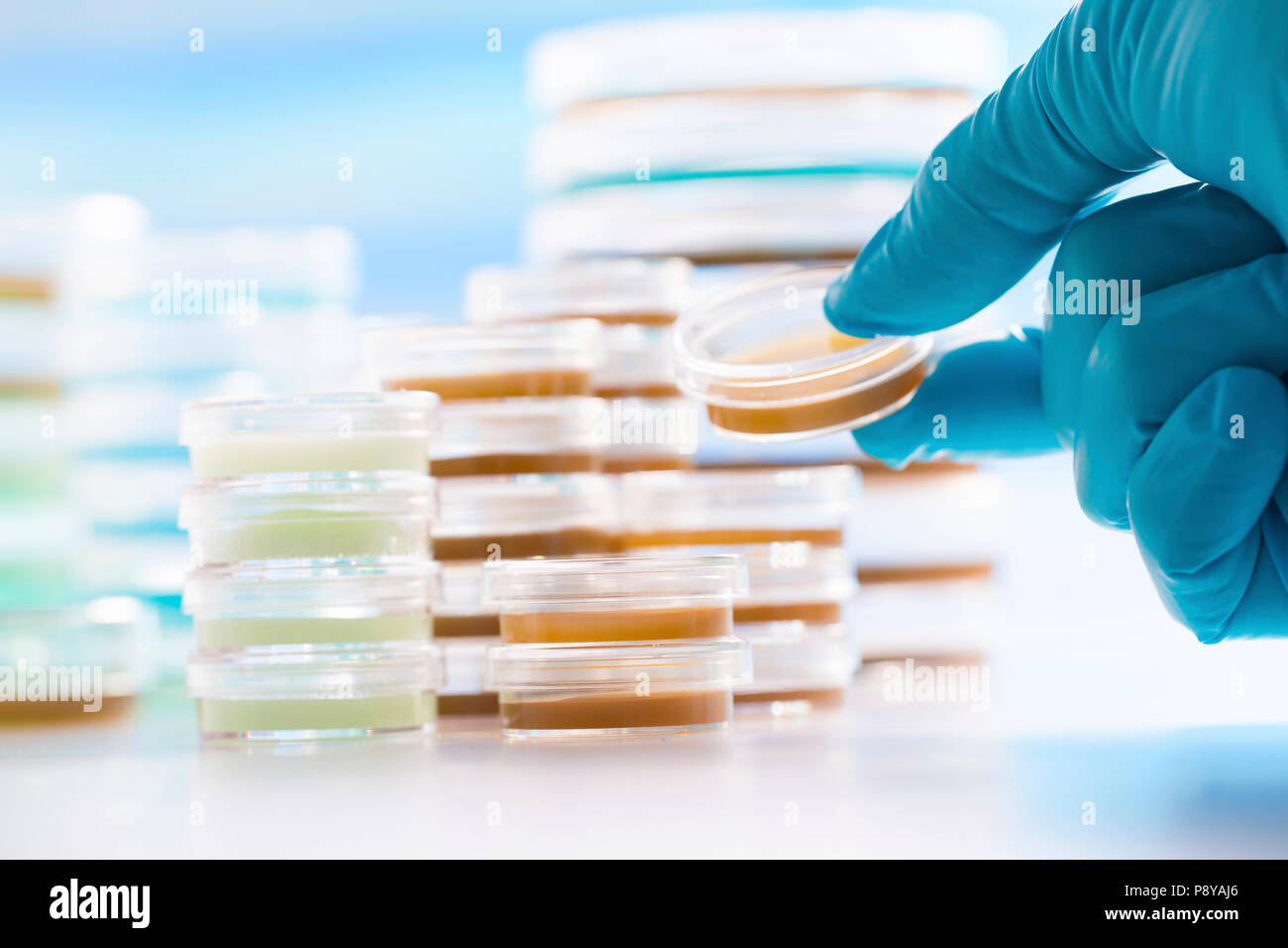 Laboratorio di patologia. Foto Stock
