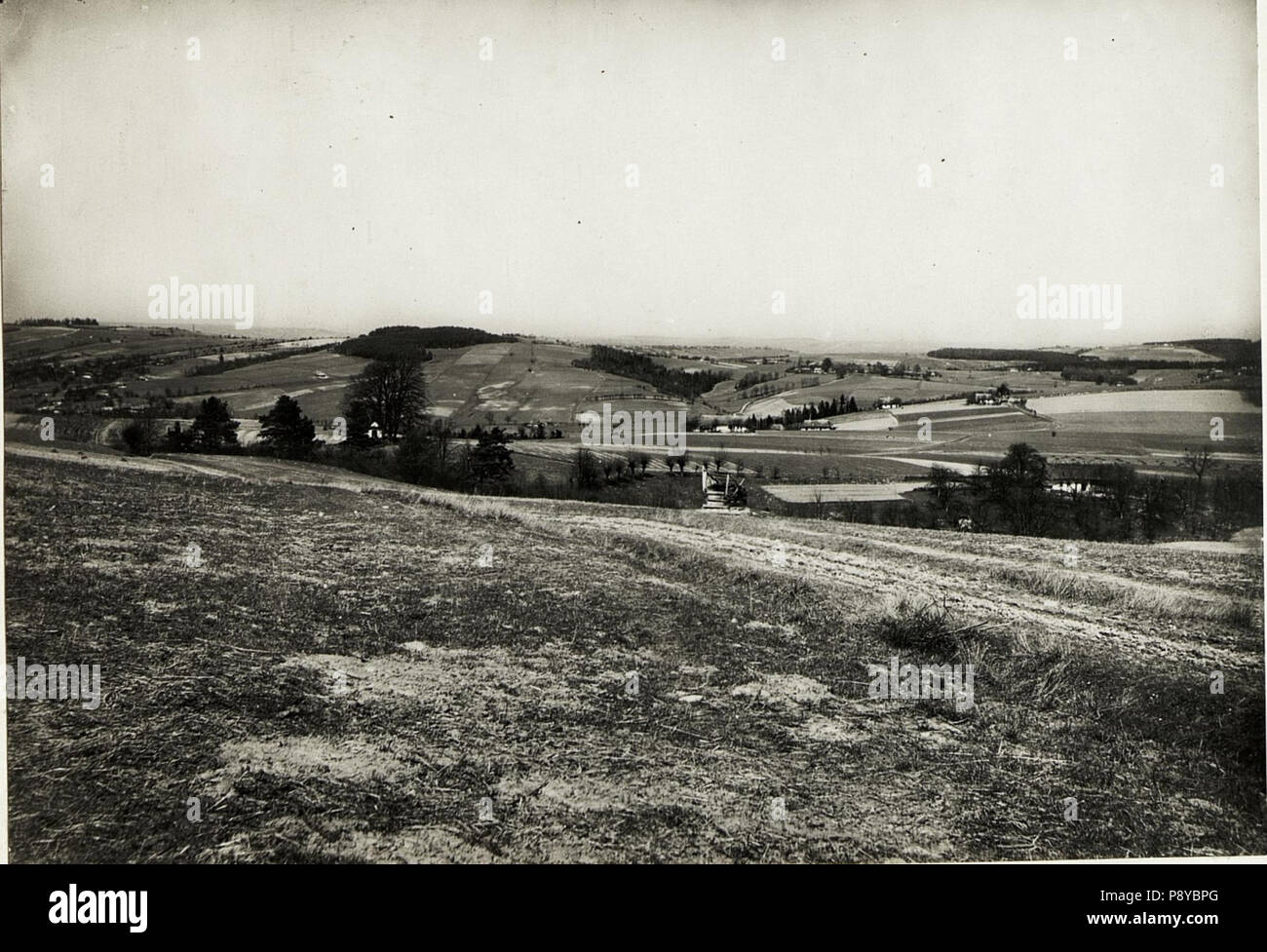 298 Gegend nördlich Limonowa, Galizien. (BildID 15593582) Foto Stock