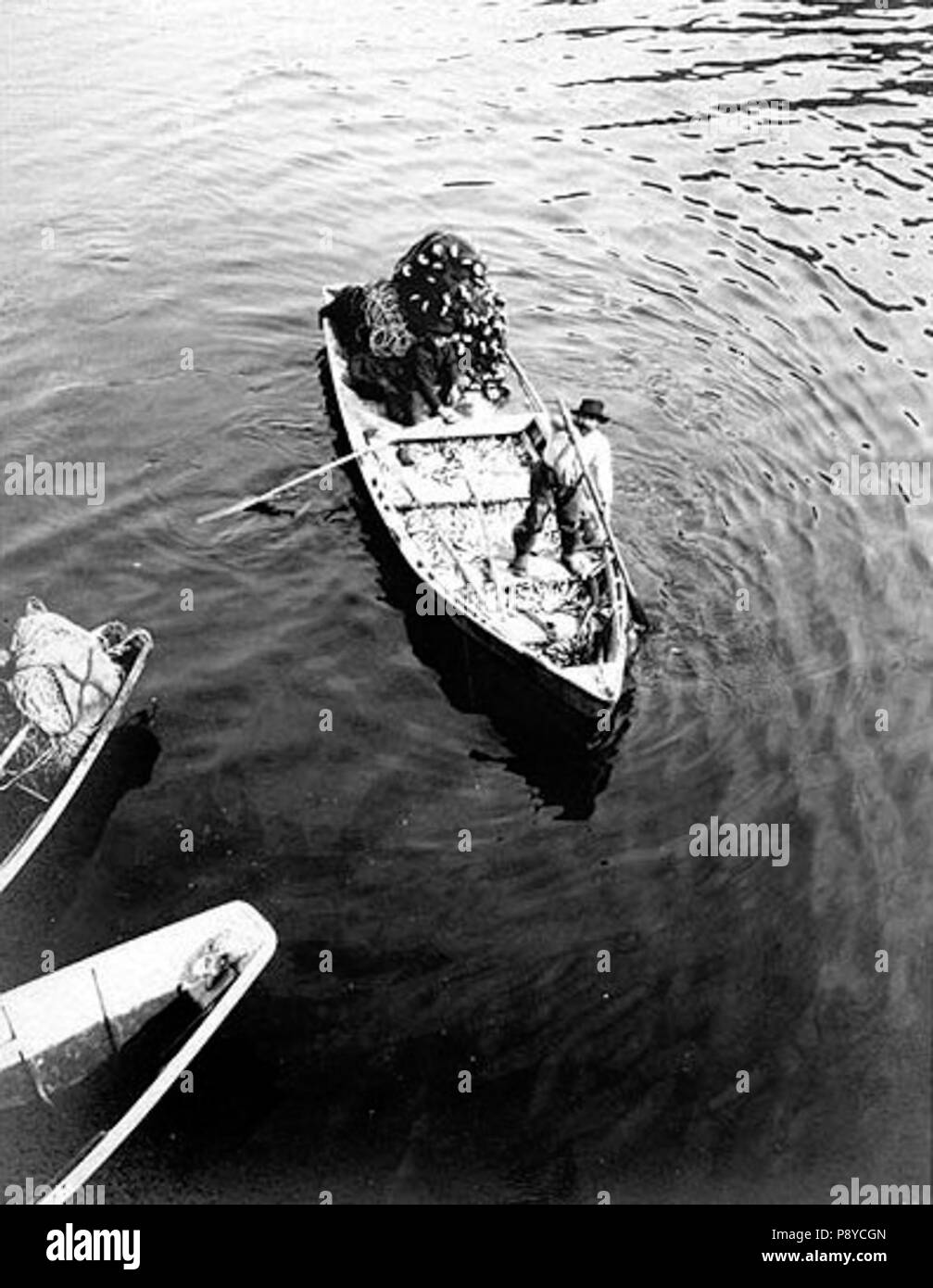 . 306 Gillnetters esca contenenti aringhe, Tee Harbour, Alaska, 25 giugno 1907 (Cobb 203) Foto Stock