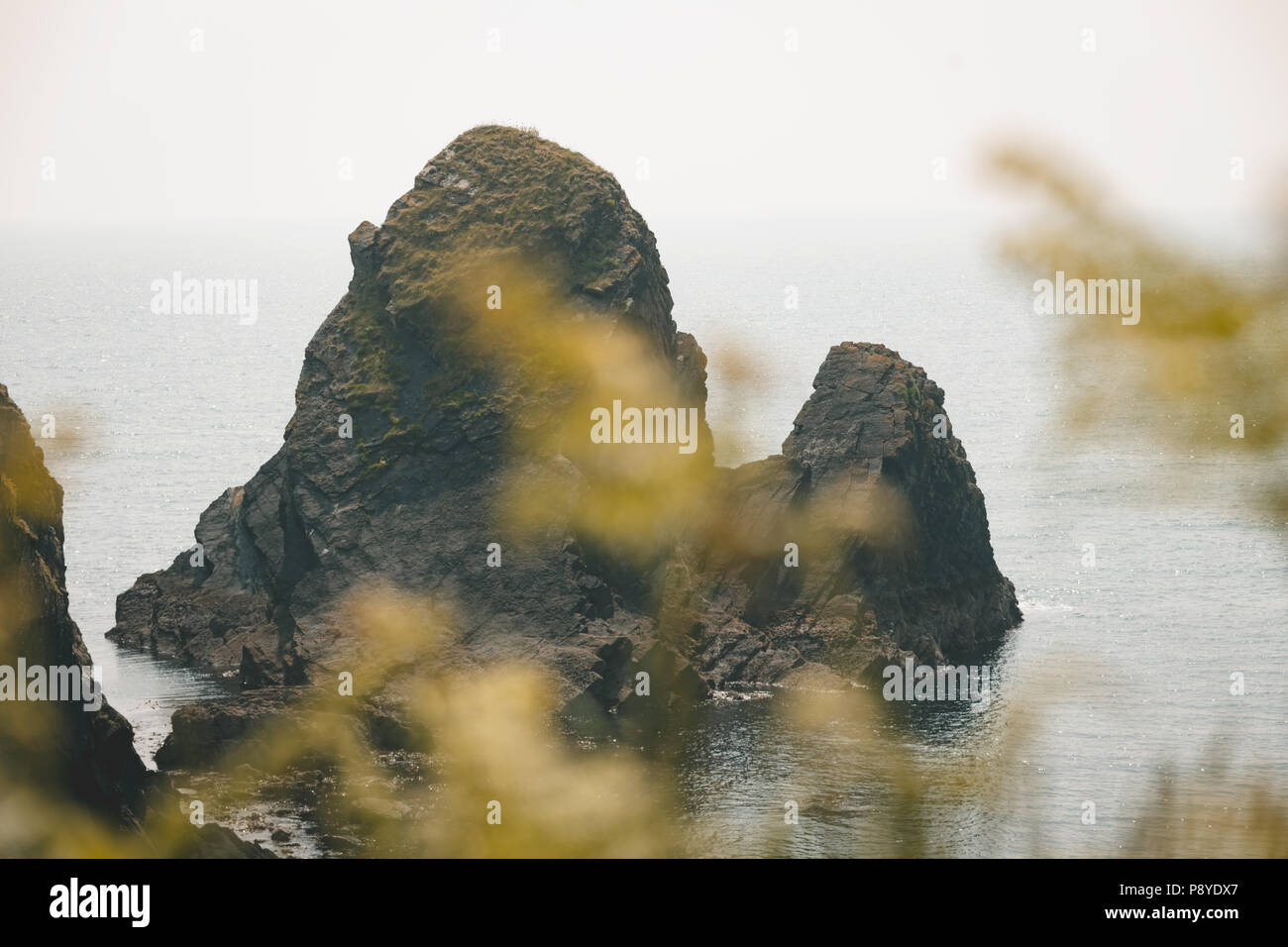 Formazione di roccia in mare Foto Stock