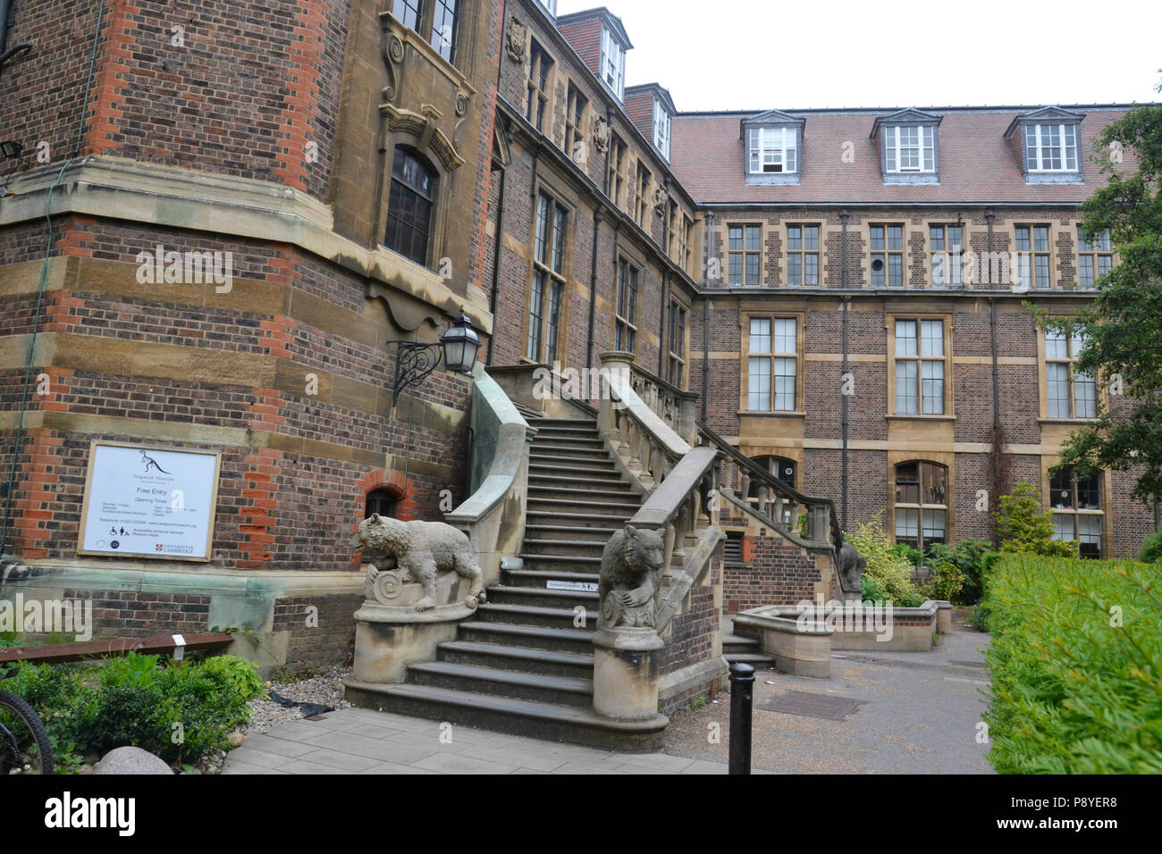 La Sedgwick Museum, Cambridge, Inghilterra, Regno Unito. Museo dei Fossili. Foto Stock