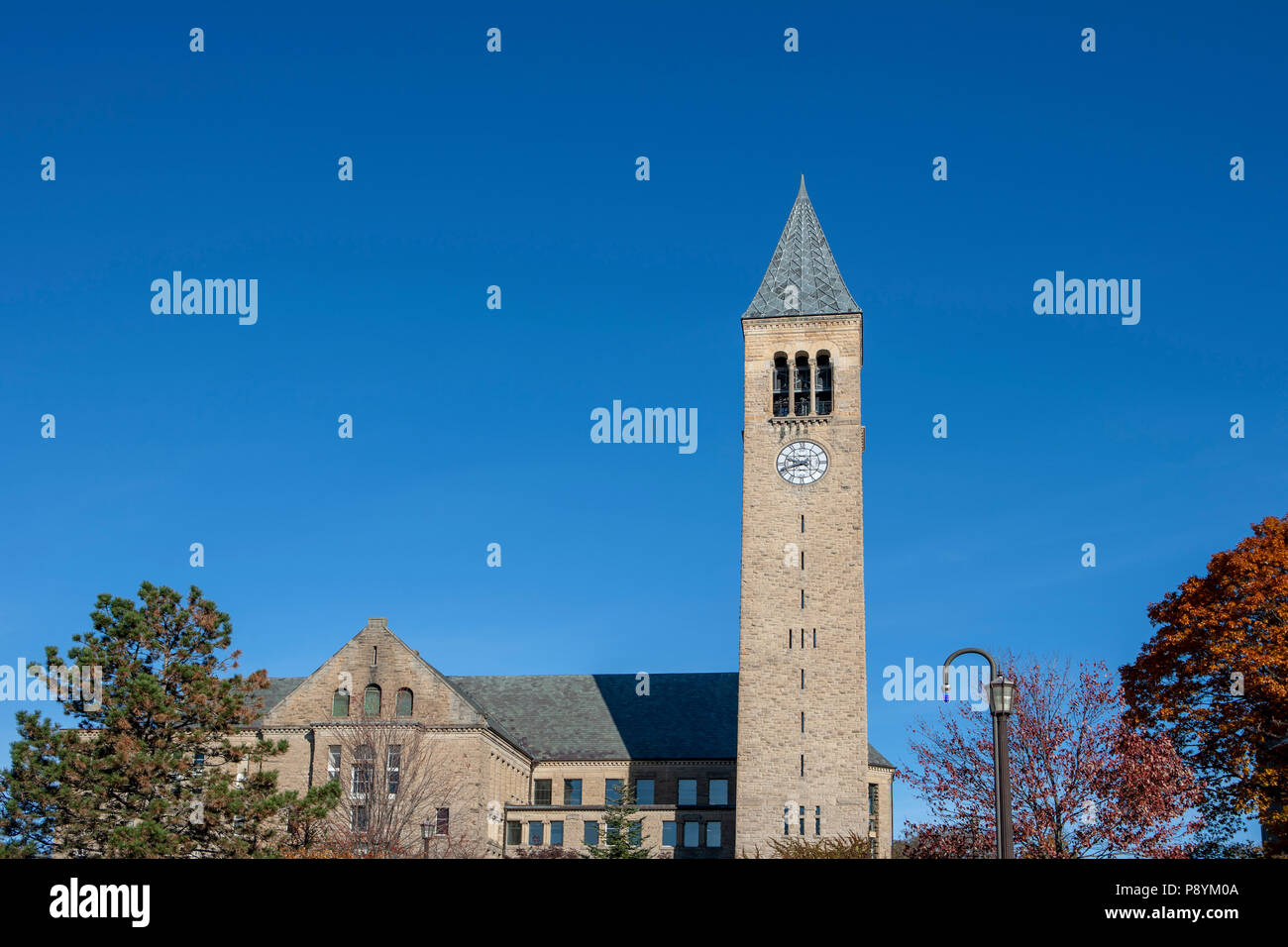 McGraw Tower, Cornell University, Ithaca, New York, Stati Uniti d'America Foto Stock