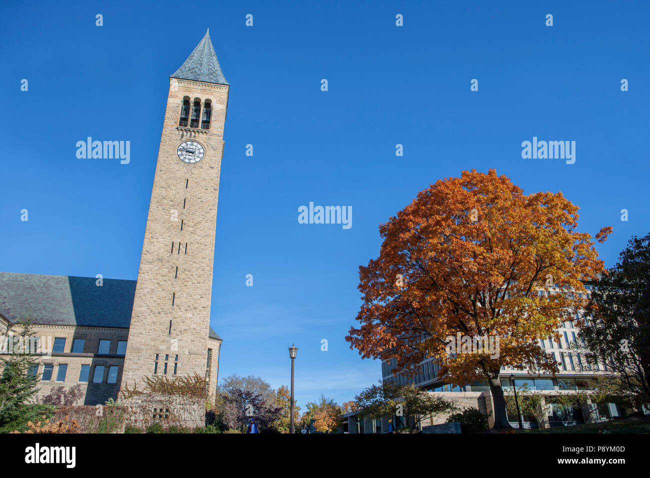 McGraw Tower, Cornell University, Ithaca, New York, Stati Uniti d'America Foto Stock