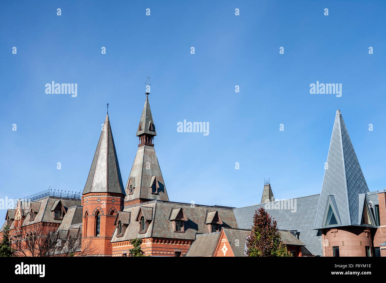 I picchi del tetto, Salvia Hall, Cornell University, Ithaca, New York, Stati Uniti d'America Foto Stock