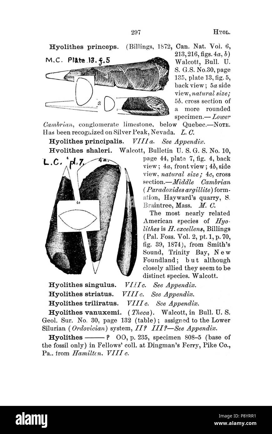 Un dizionario dei fossili di Pennsylvania e gli Stati limitrofi denominato nelle relazioni e nei cataloghi del sondaggio (pagina 297). Foto Stock