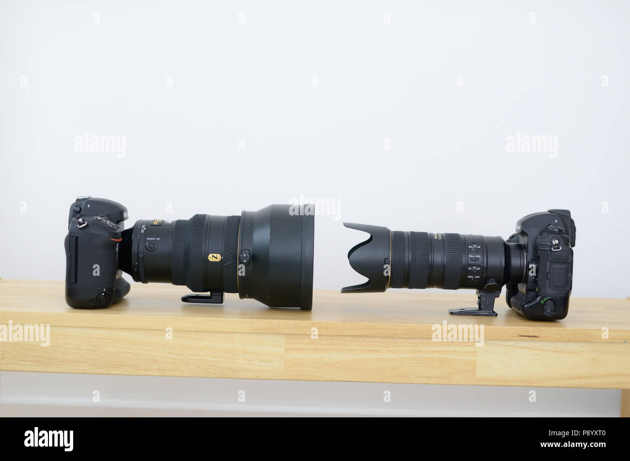 La fauna selvatica attrezzatura fotografica lenti fotocamere fotografia sportiva attrezzature telecamere lenti Foto Stock