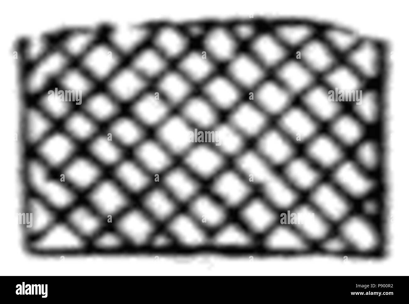 323 Handbook di primati Fig 8c Foto Stock