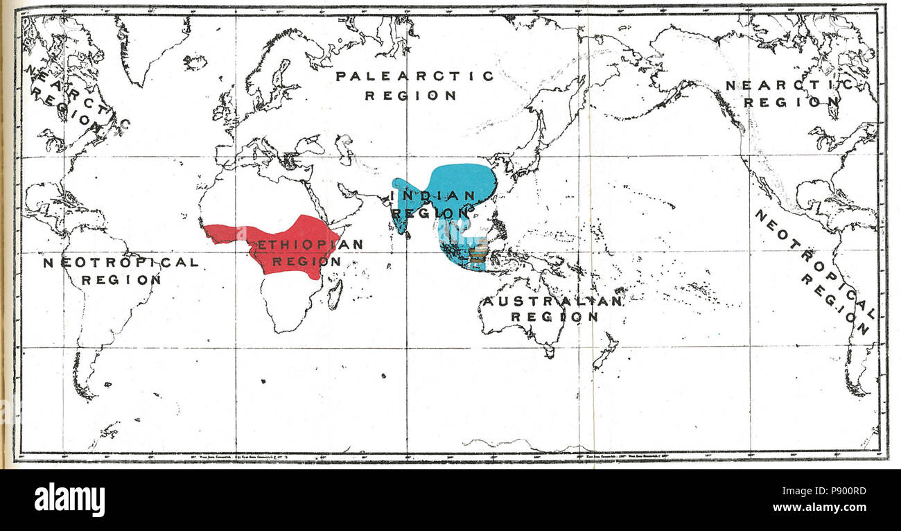 . 323 Handbook di primati piastra 48 Foto Stock