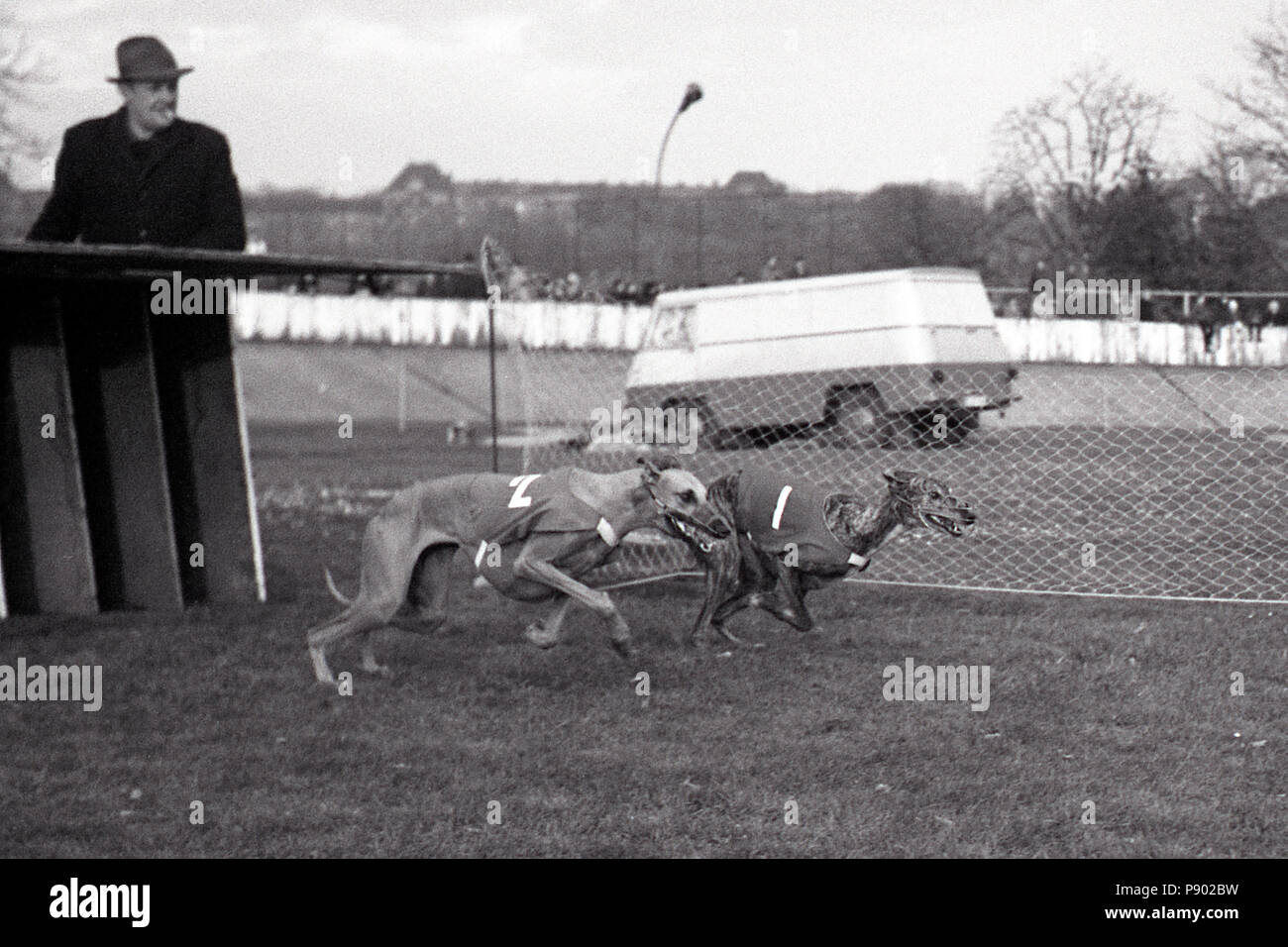 Dresda, DDR, inizio di un levriero gara sulla ex pista ciclabile Johannstadt Foto Stock