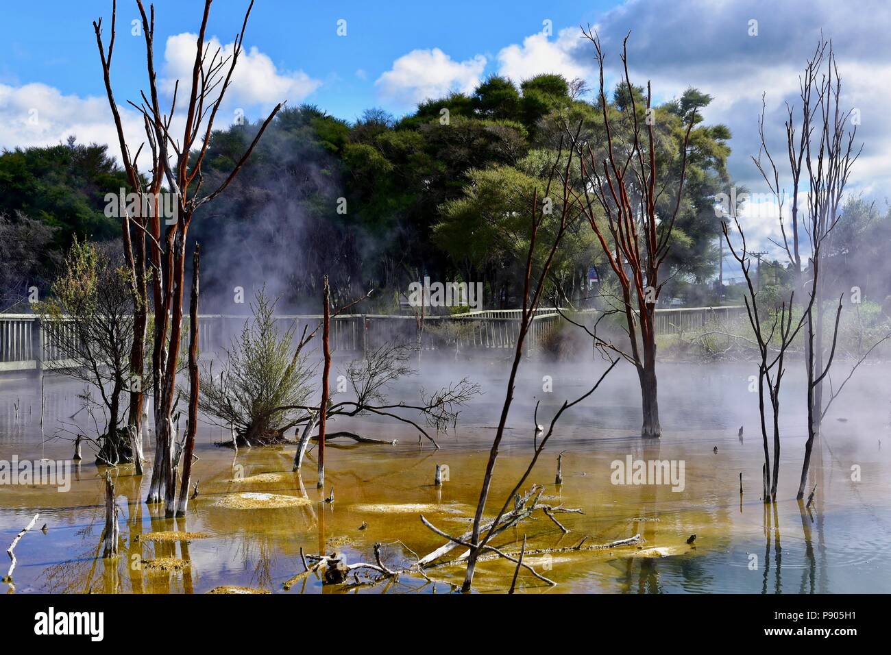 Parco geotermico nel centro di Rotorua Foto Stock