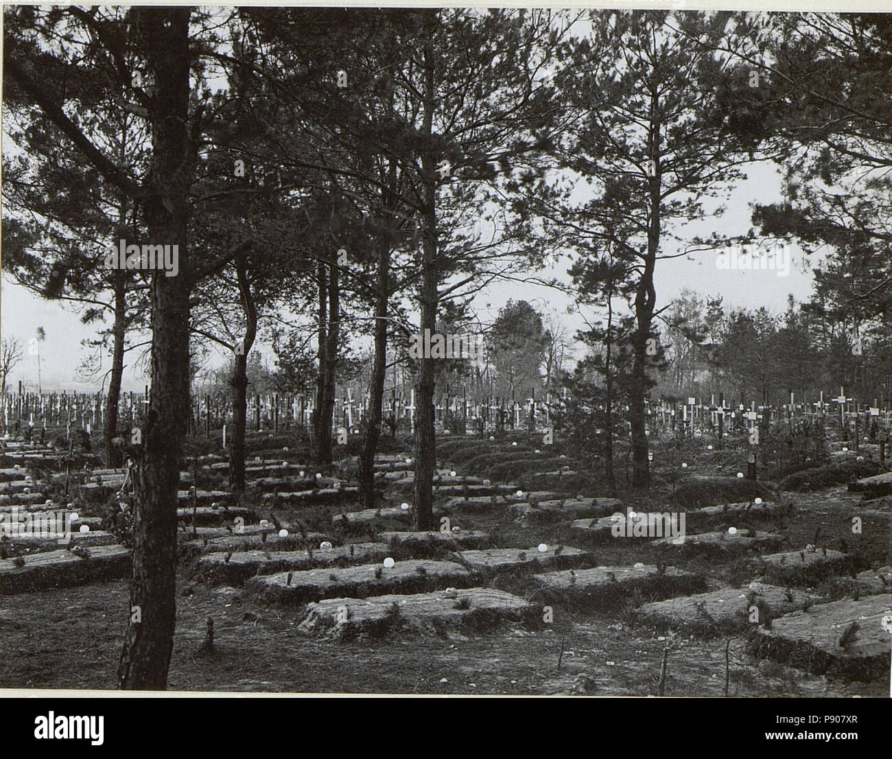 . 369 Kriegsalbum 108, 33216 Bild (BildID 15726830) Foto Stock