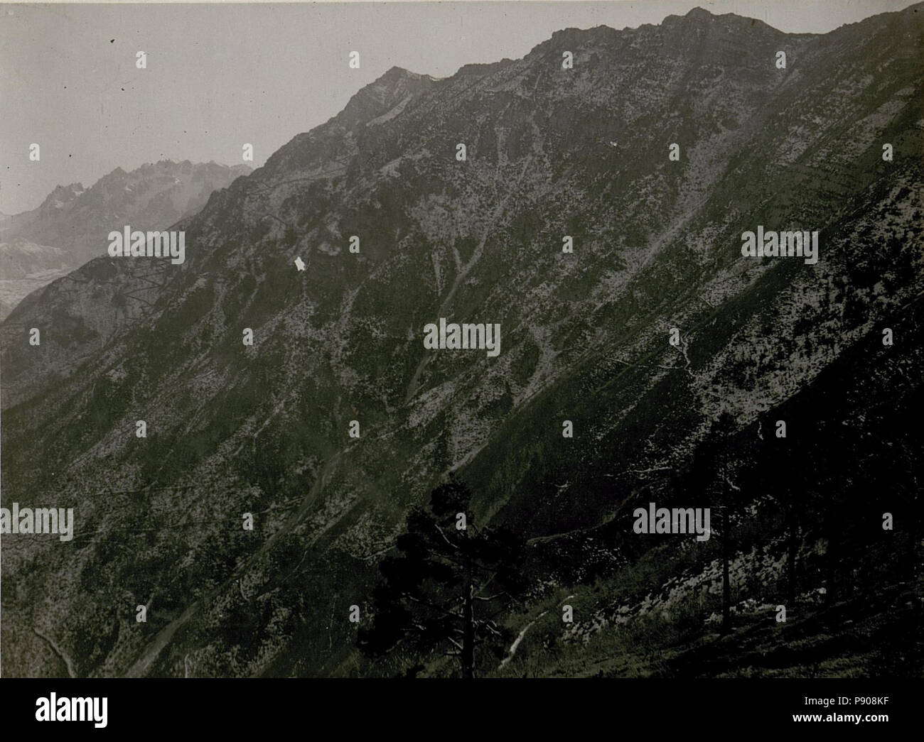 . 373 Kriegsalbum 45, Bild 12313c (BildID 15512063) Foto Stock