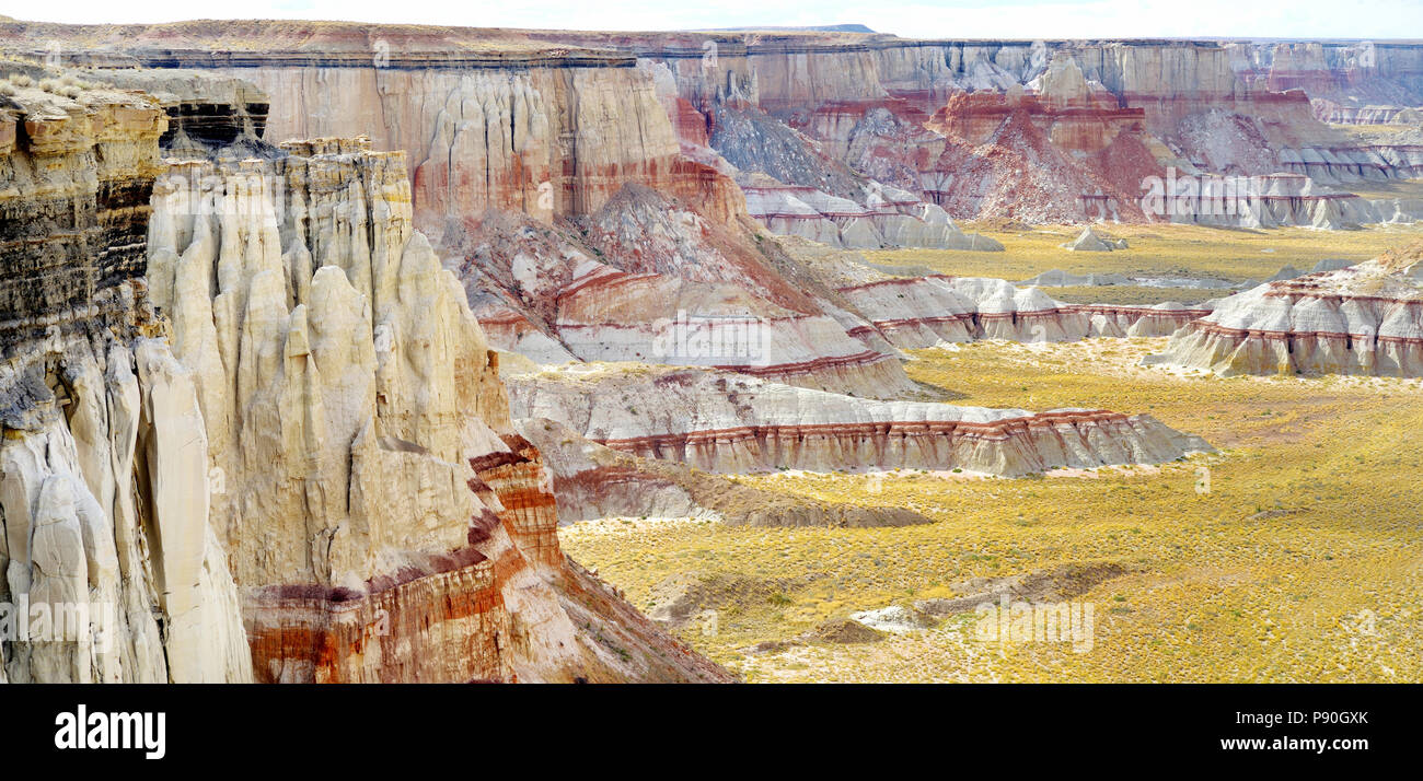 Vista panoramica di stordimento bianco striato hoodoos di arenaria nella miniera di carbone di Canyon vicino a Tuba City, Arizona, Stati Uniti d'America Foto Stock