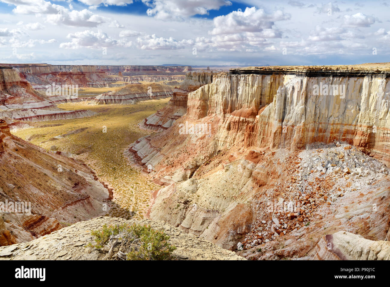Vista panoramica di stordimento bianco striato hoodoos di arenaria nella miniera di carbone di Canyon vicino a Tuba City, Arizona, Stati Uniti d'America Foto Stock
