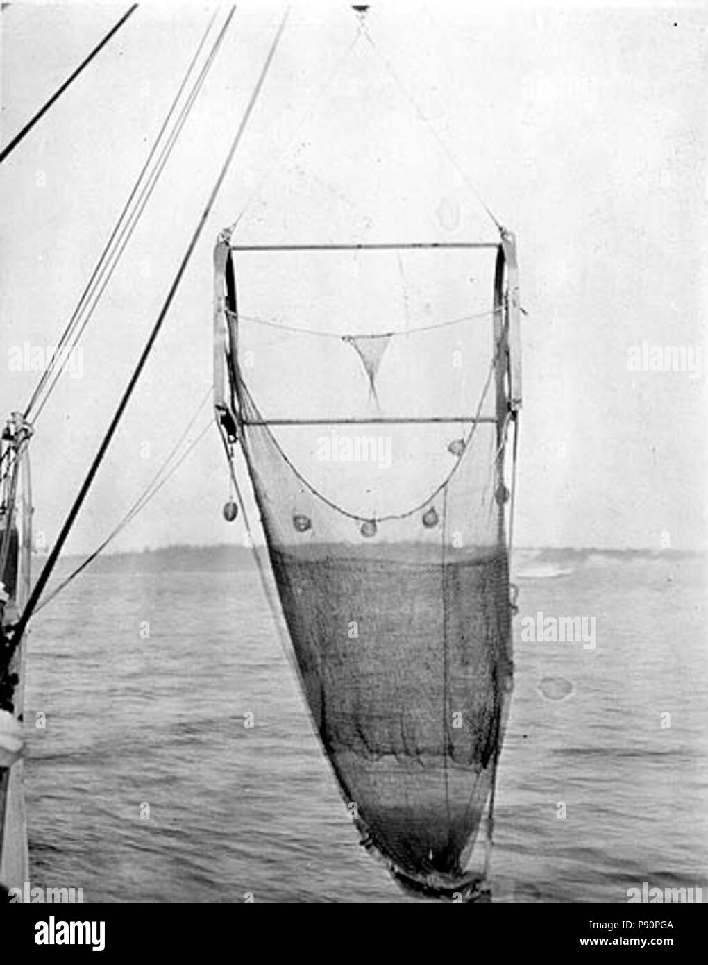 . 405 abbassamento della sfogliara sul piroscafo ALBATROSS in Puget Sound, giugno 1914 (Cobb 67) Foto Stock