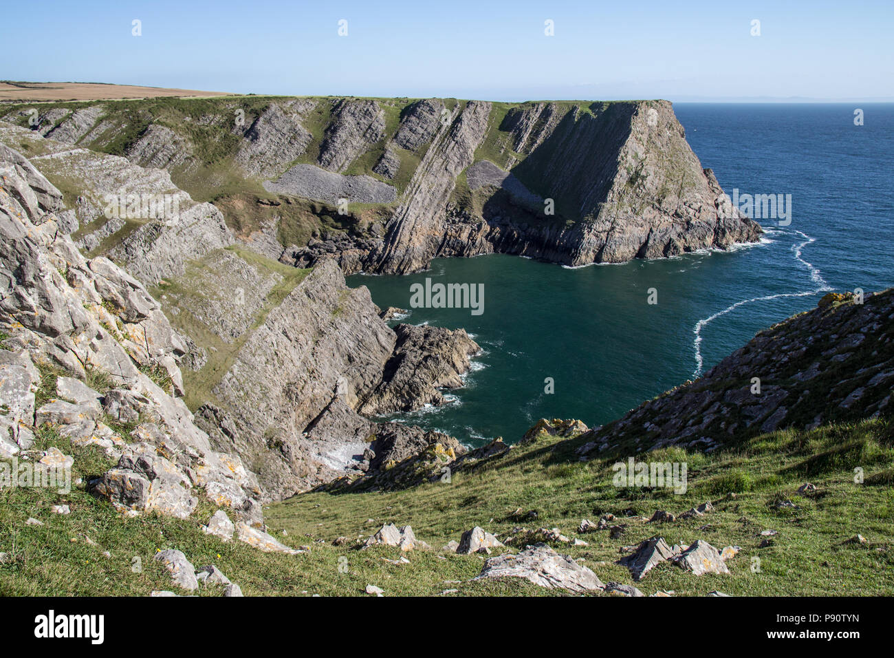 La vite senza fine di testa, Rhossili Bay. A piedi da Rhossili Bay a Port Eynon, Penisola di Gower (Wales coast Path) Foto Stock