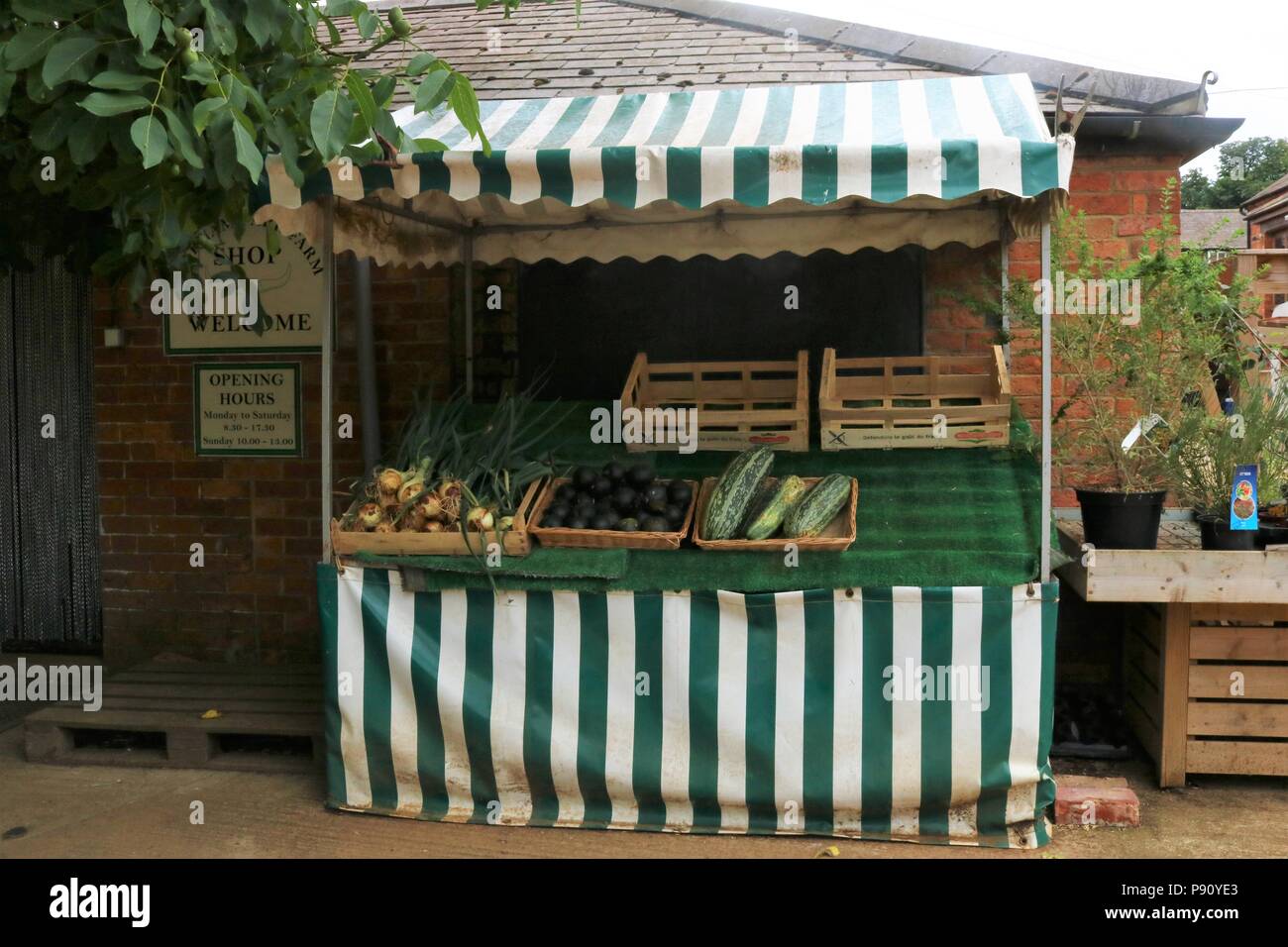 Vecchio stile di stallo di mercato la visualizzazione di verdure fresche a una farm shop. Foto Stock