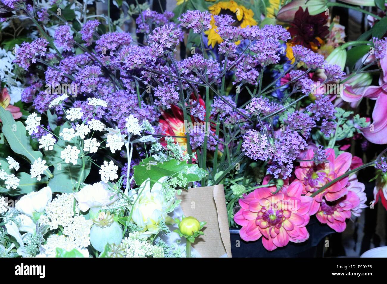 Bella disposizione colorato di fiori che mostra viola, rosa, giallo e bianco fiori. Foto Stock