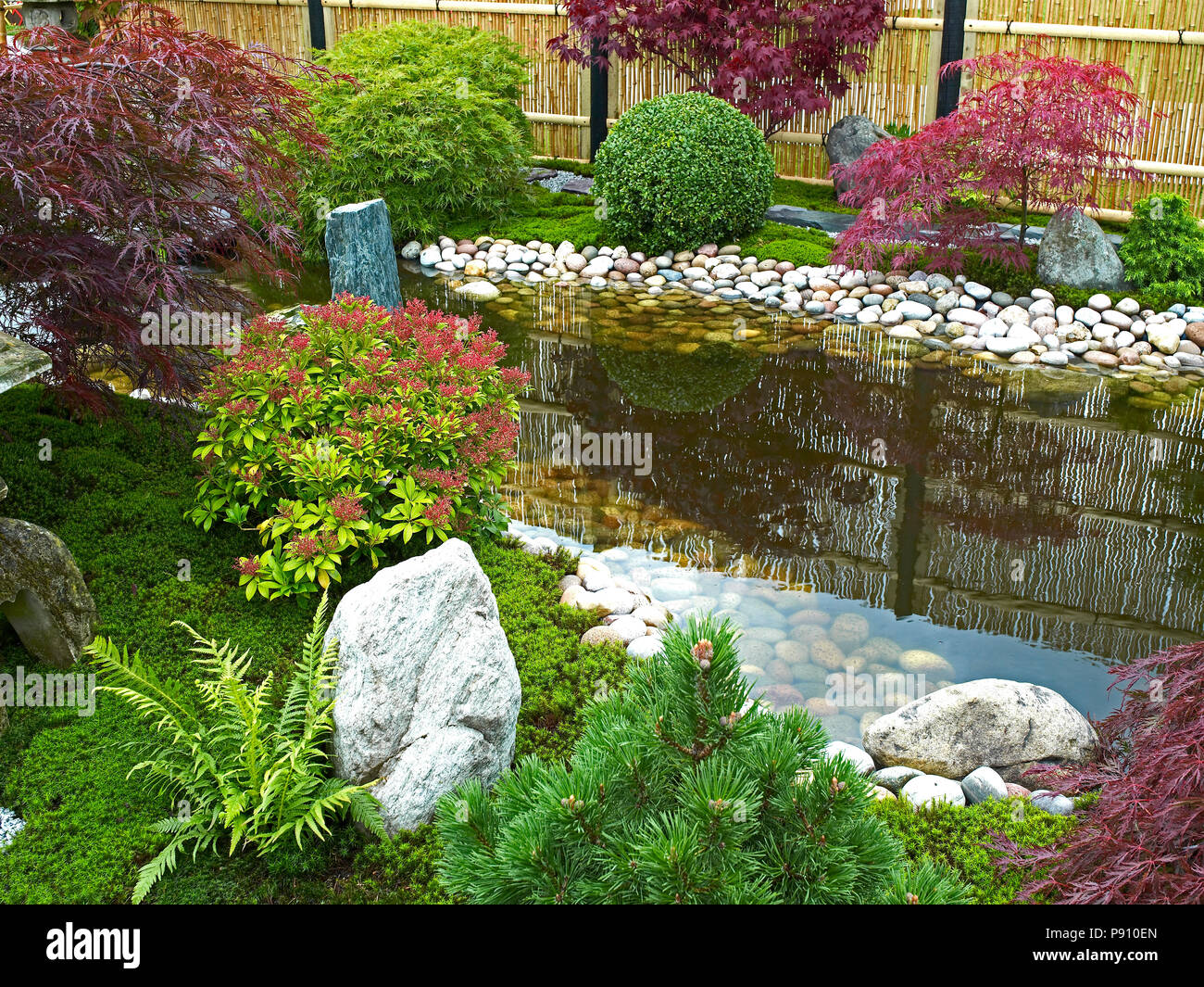 Tradizionale Giapponese del acqua giardino con piante, arbusti, rocce e Acer e di alberi di acero Foto Stock