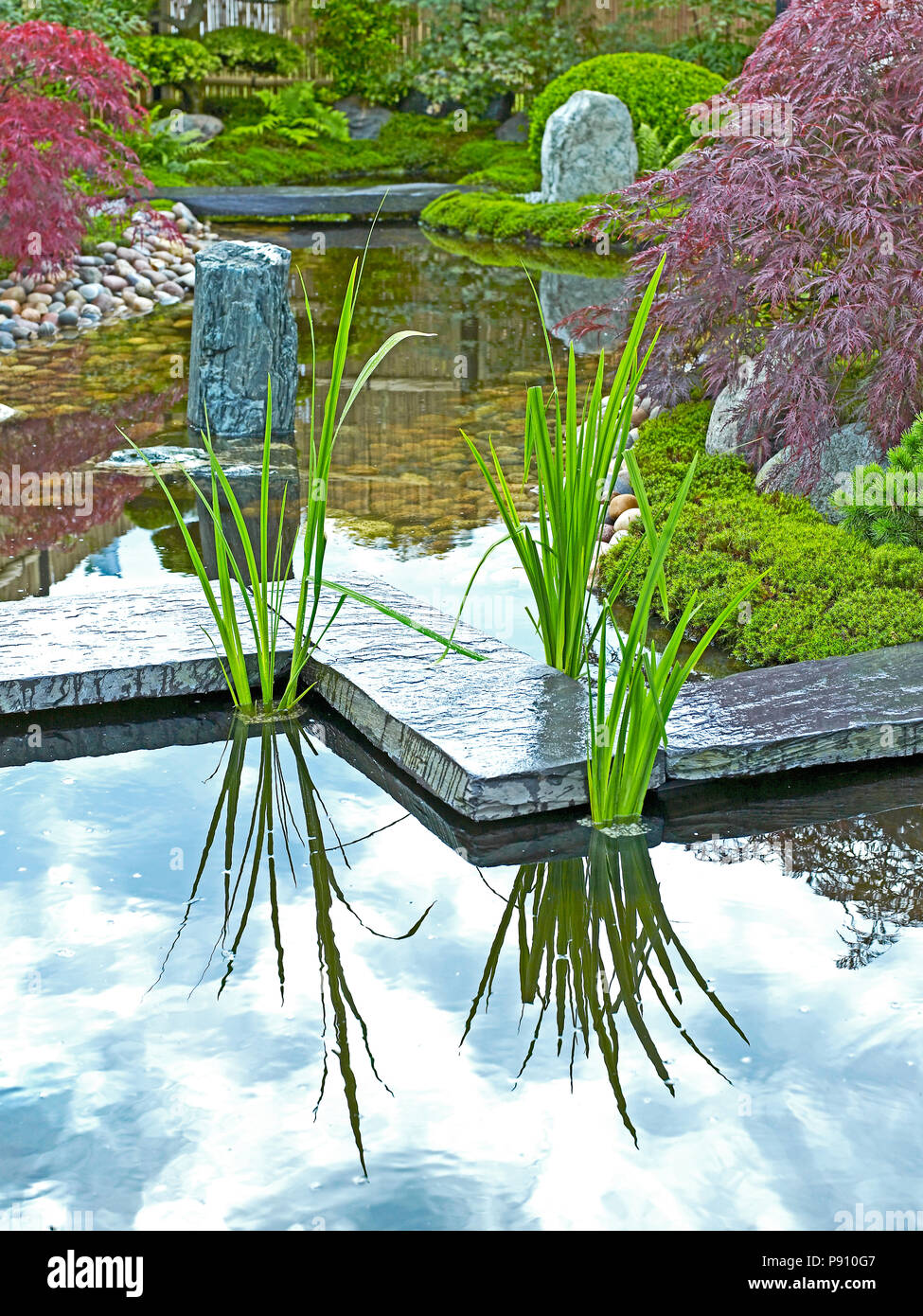 Tradizionale Giapponese del acqua giardino con piante, arbusti, rocce e ponte di pietra Foto Stock
