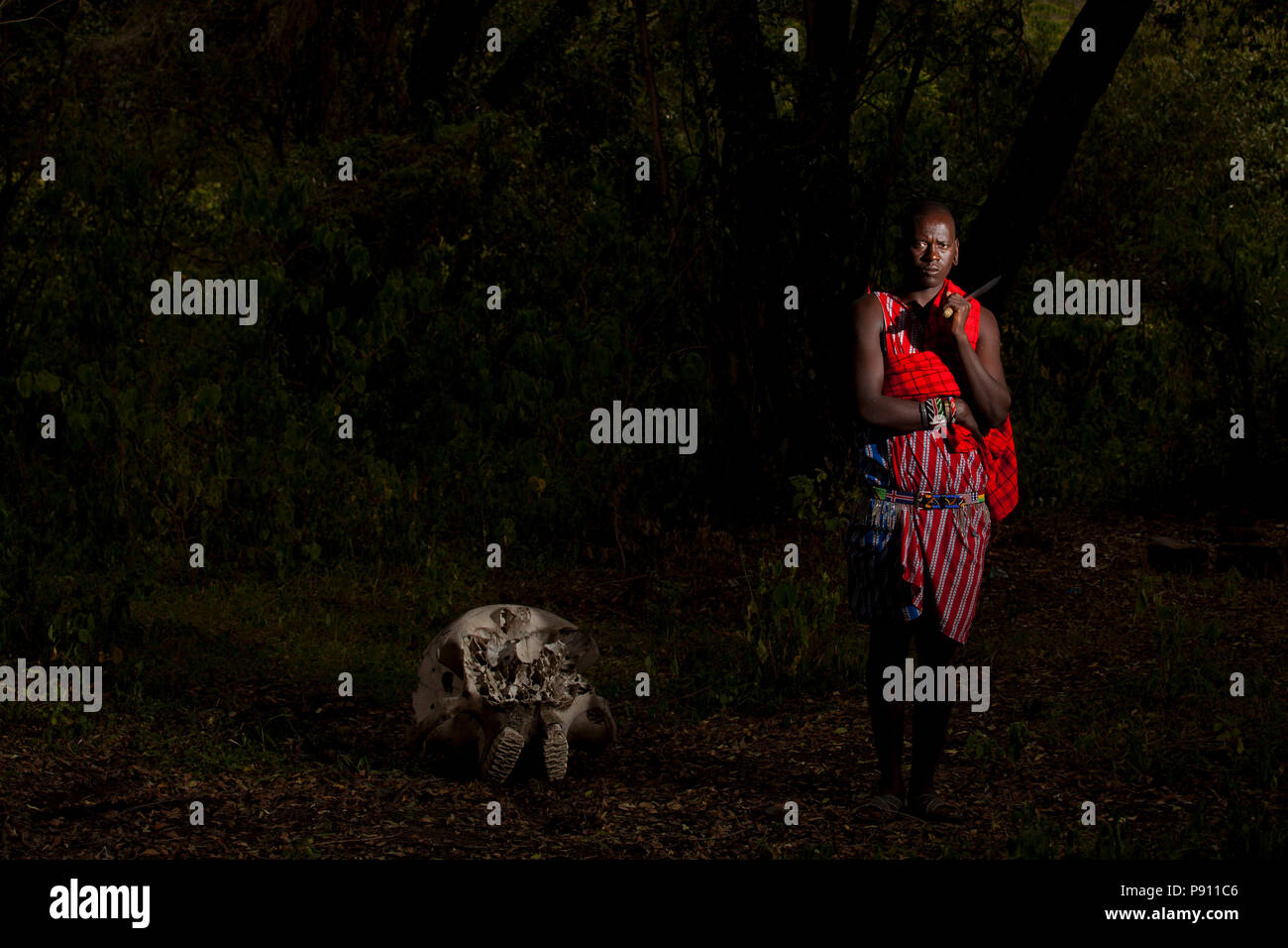 Masai guerriero Masai tradizionale uomo vestito di rosso Elephant skull hunter, Masai hunter Foto Stock