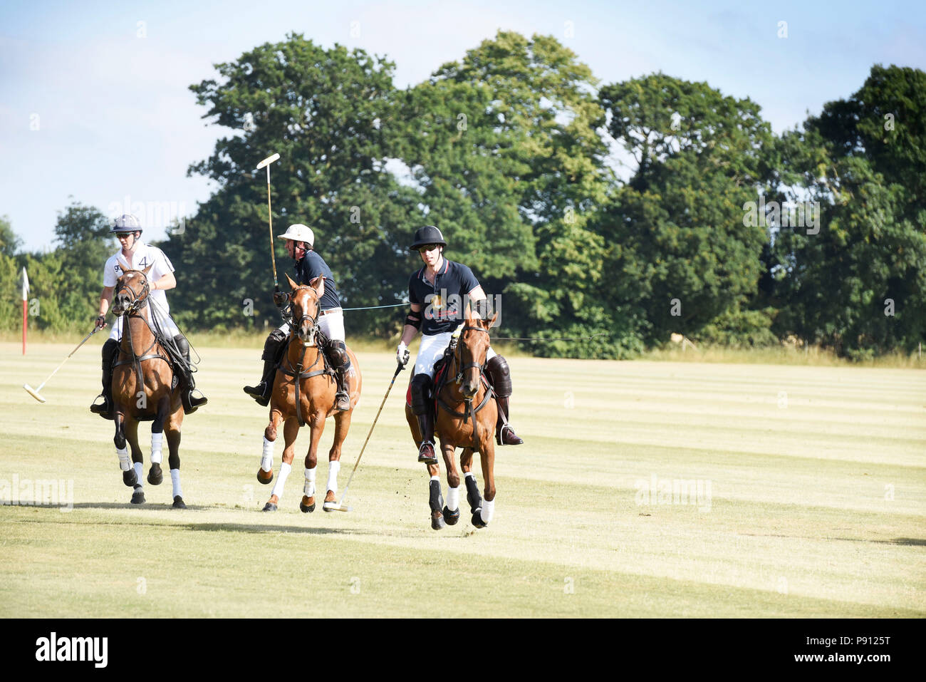 Il principe William, il Duca di Cambridge, la riproduzione di una carità partita di polo in Norfolk Inghilterra Foto Stock