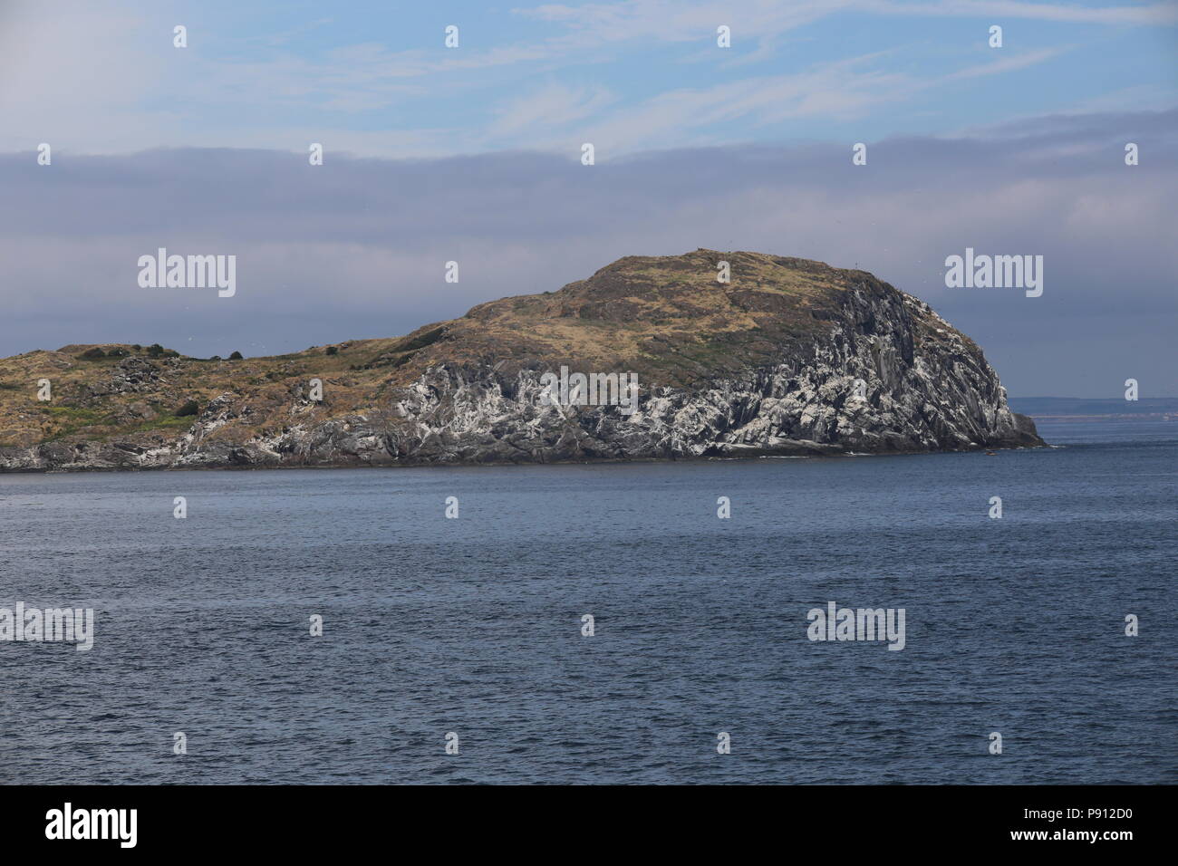 Isola di Craigleith nel Firth of Forth Scozia Luglio 2018 Foto Stock