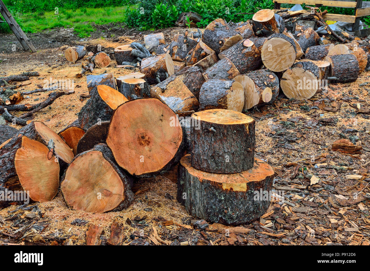 Catasta di legna da ardere da conifere trunk. Preparazione della legna da ardere per scaldare un bagno russo, sauna o camino Foto Stock