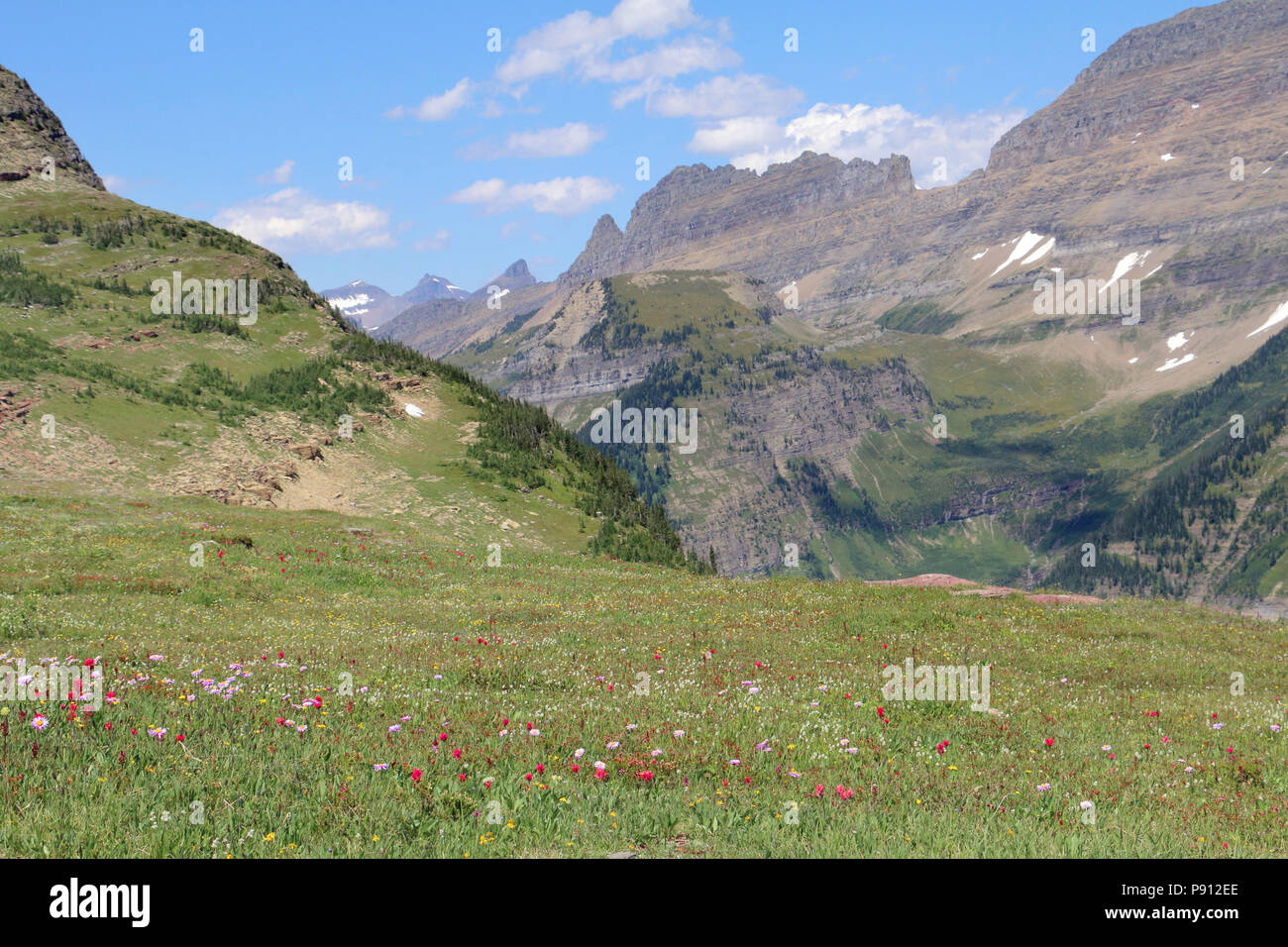 Logan pass Glacier National Park il 5 agosto, 2016 Foto Stock