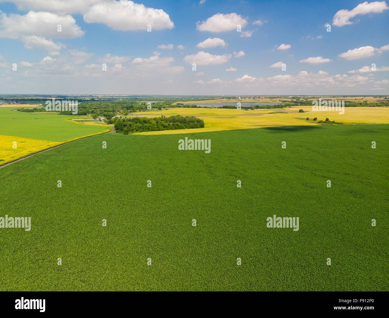 Vista dall'alto sui campi di diversi colori in Russia Foto Stock