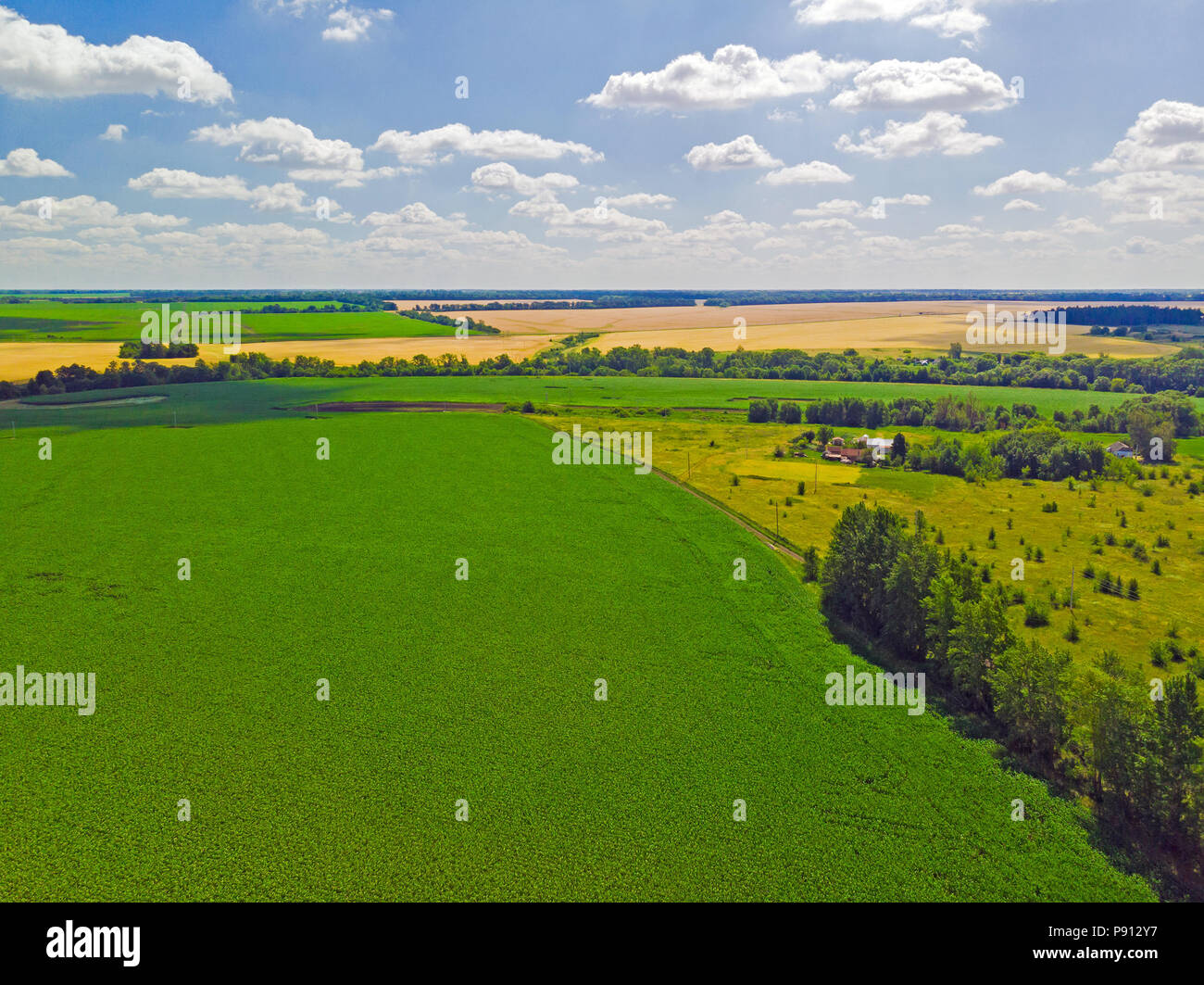Vista dall'alto sui campi di diversi colori in Russia Foto Stock