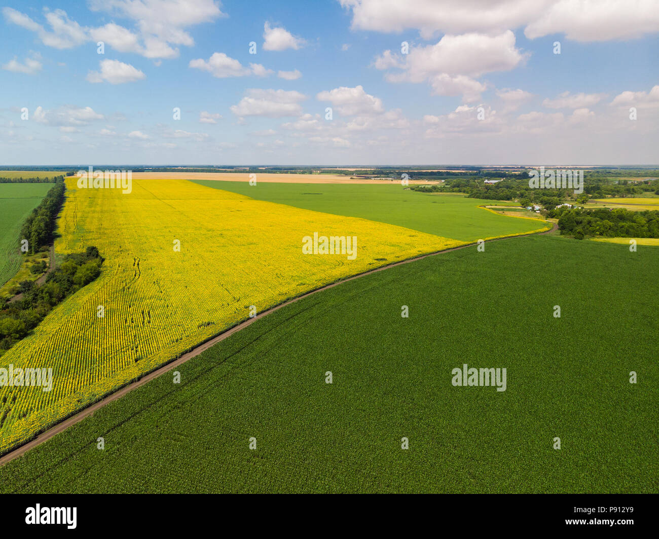 Vista dall'alto sui campi di diversi colori in Russia Foto Stock