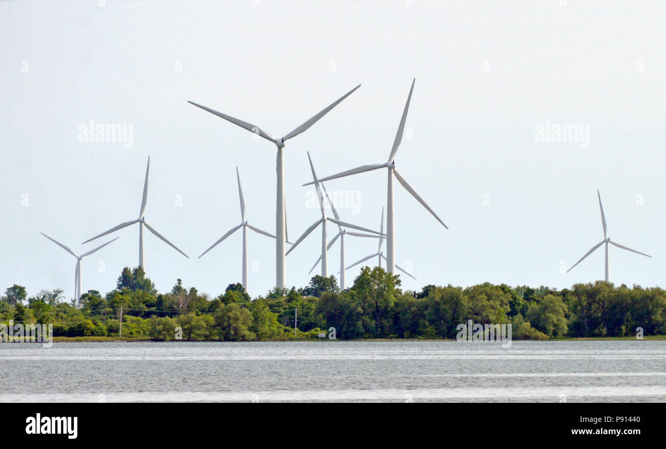 Wolfe Island nei pressi di Kingston è coperto con mulini a vento che generano energia pulita per la provincia dell'Ontario. Foto Stock