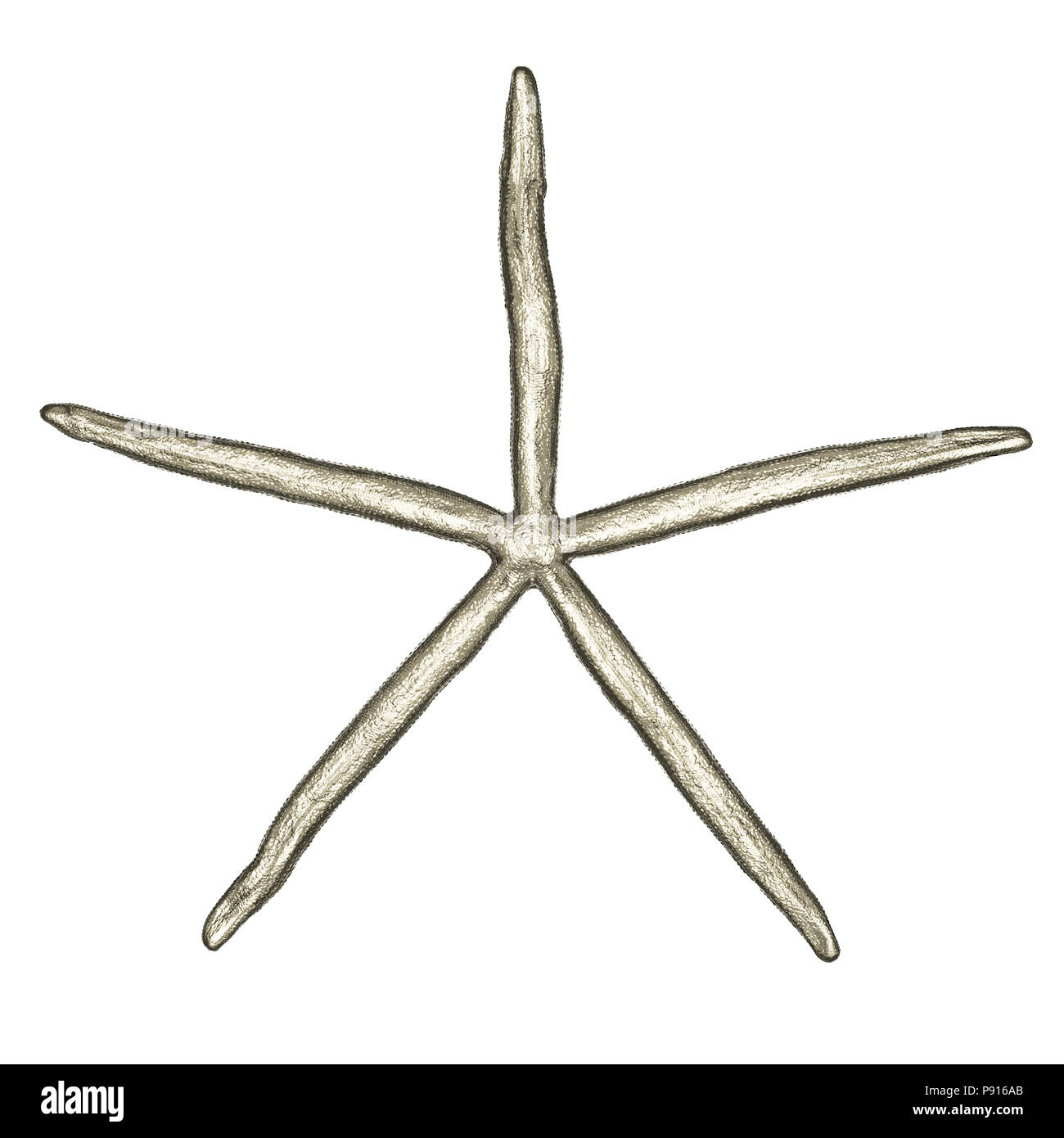 X-ray starfish isolato su bianco includono percorso di clipping. 3D render Foto Stock