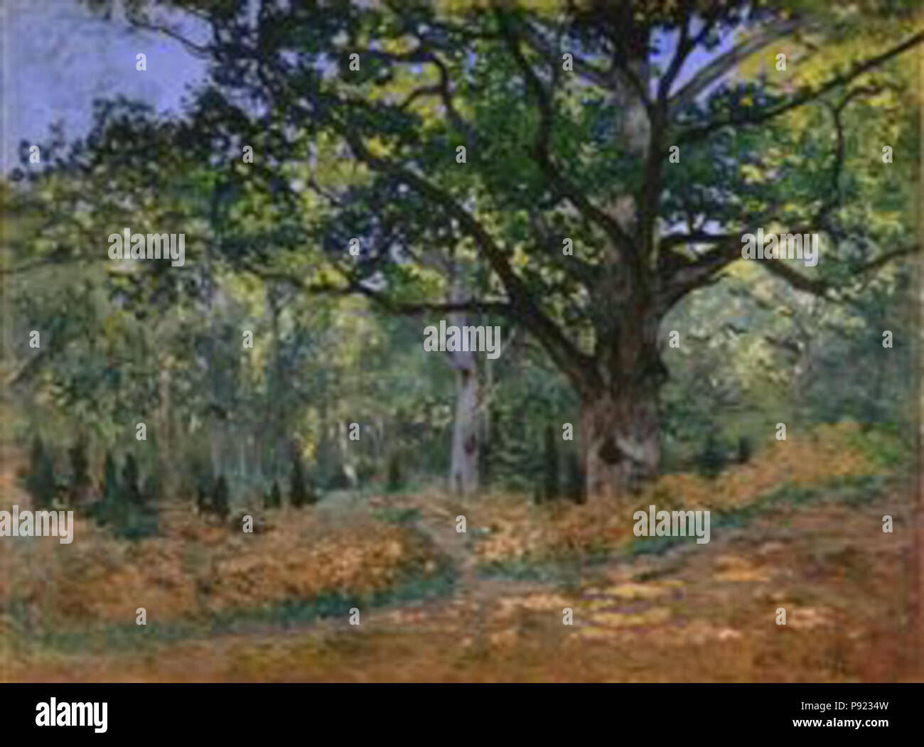 . 424 Monet - La-bodmer-oak-fontainebleau Foto Stock