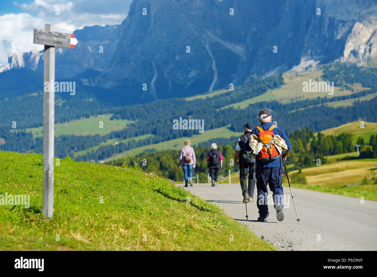 Turisti Senior escursionismo in Alpe di Siusi, il più grande ad alta altitudine prato alpino in Europa, incredibili montagne rocciose sullo sfondo. Alto Adige provi Foto Stock