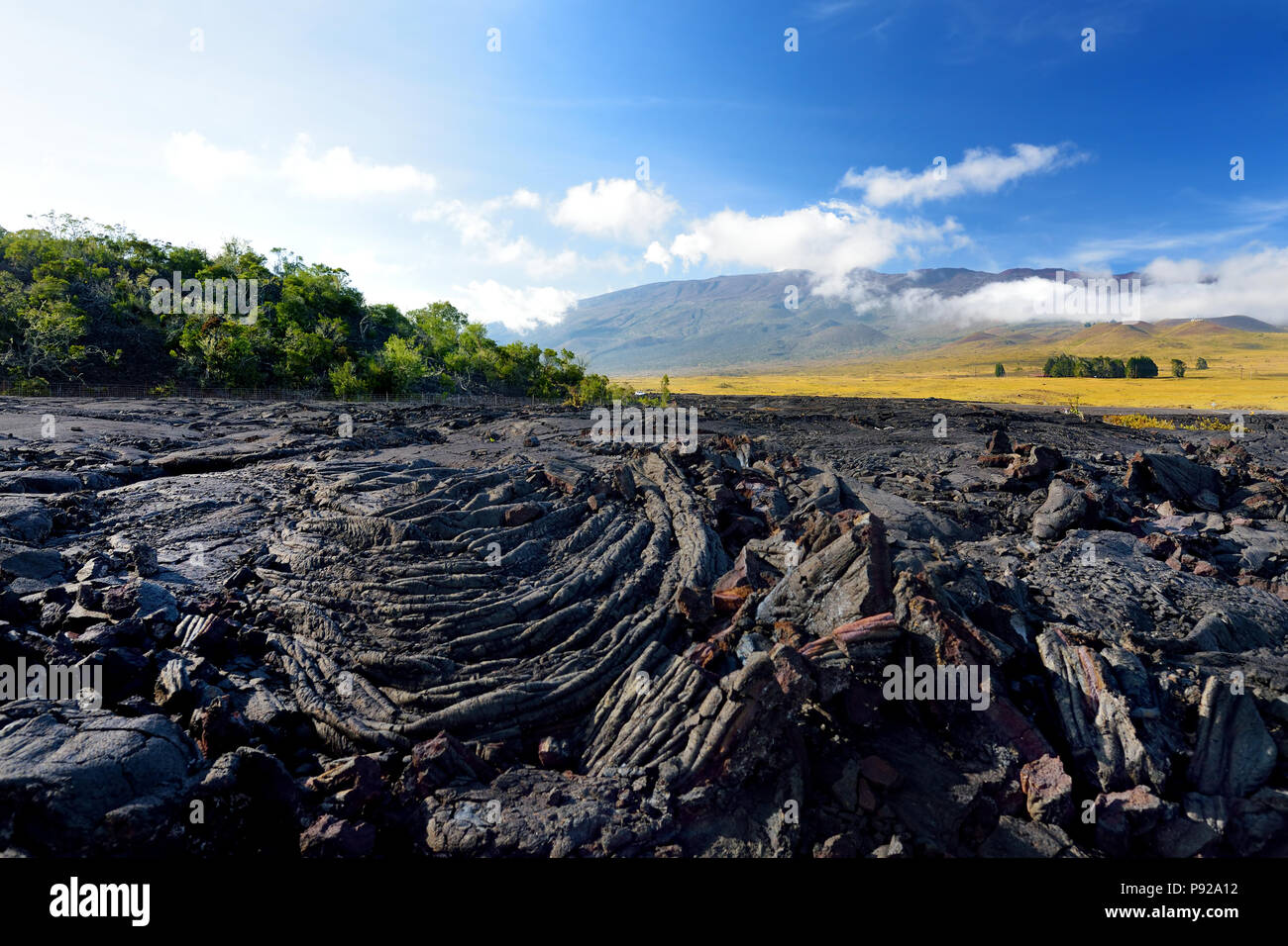 La superficie ruvida della lava congelati dopo il vulcano Mauna Loa eruzione sulla Big Island, Hawaii, STATI UNITI D'AMERICA Foto Stock